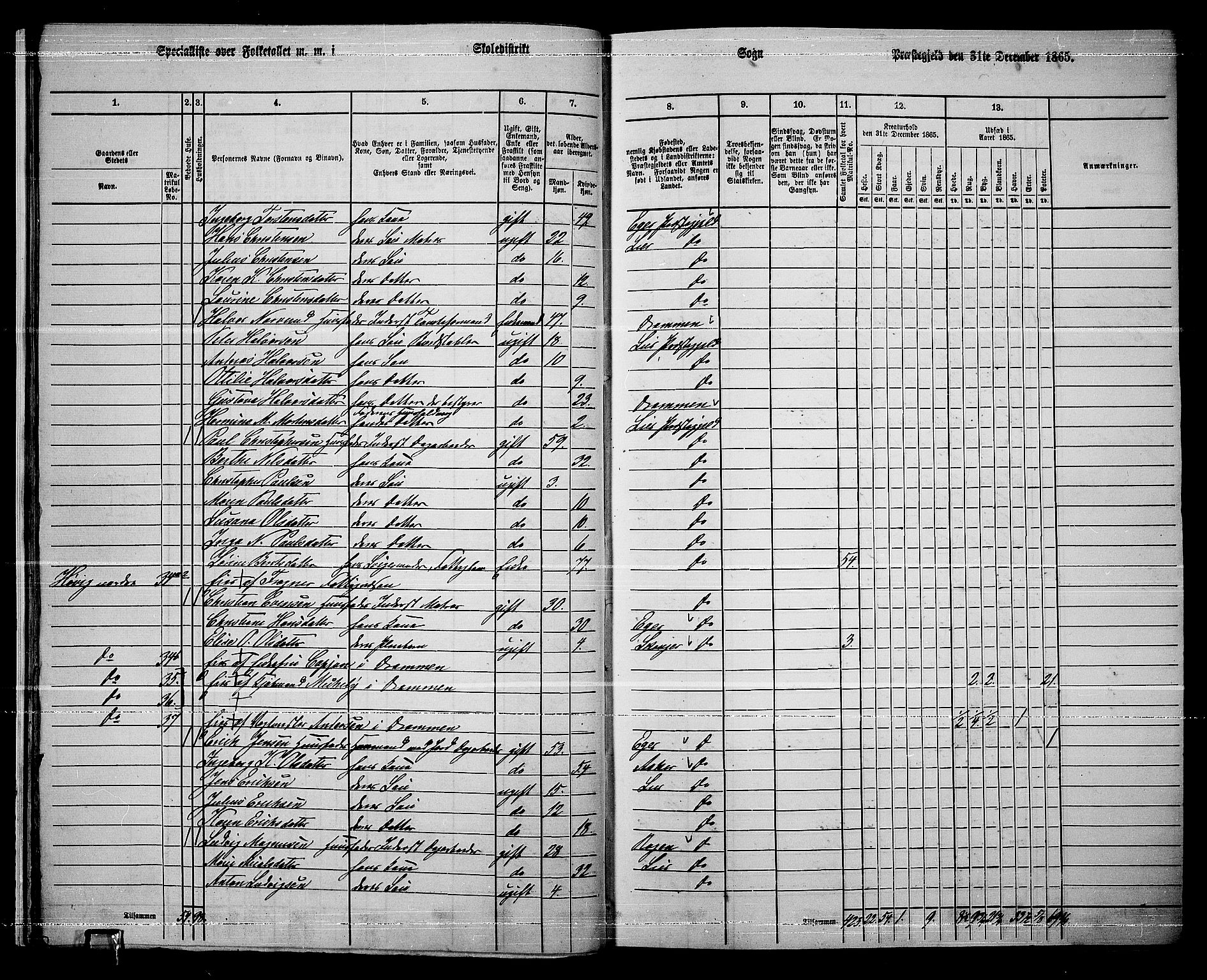 RA, 1865 census for Lier, 1865, p. 31