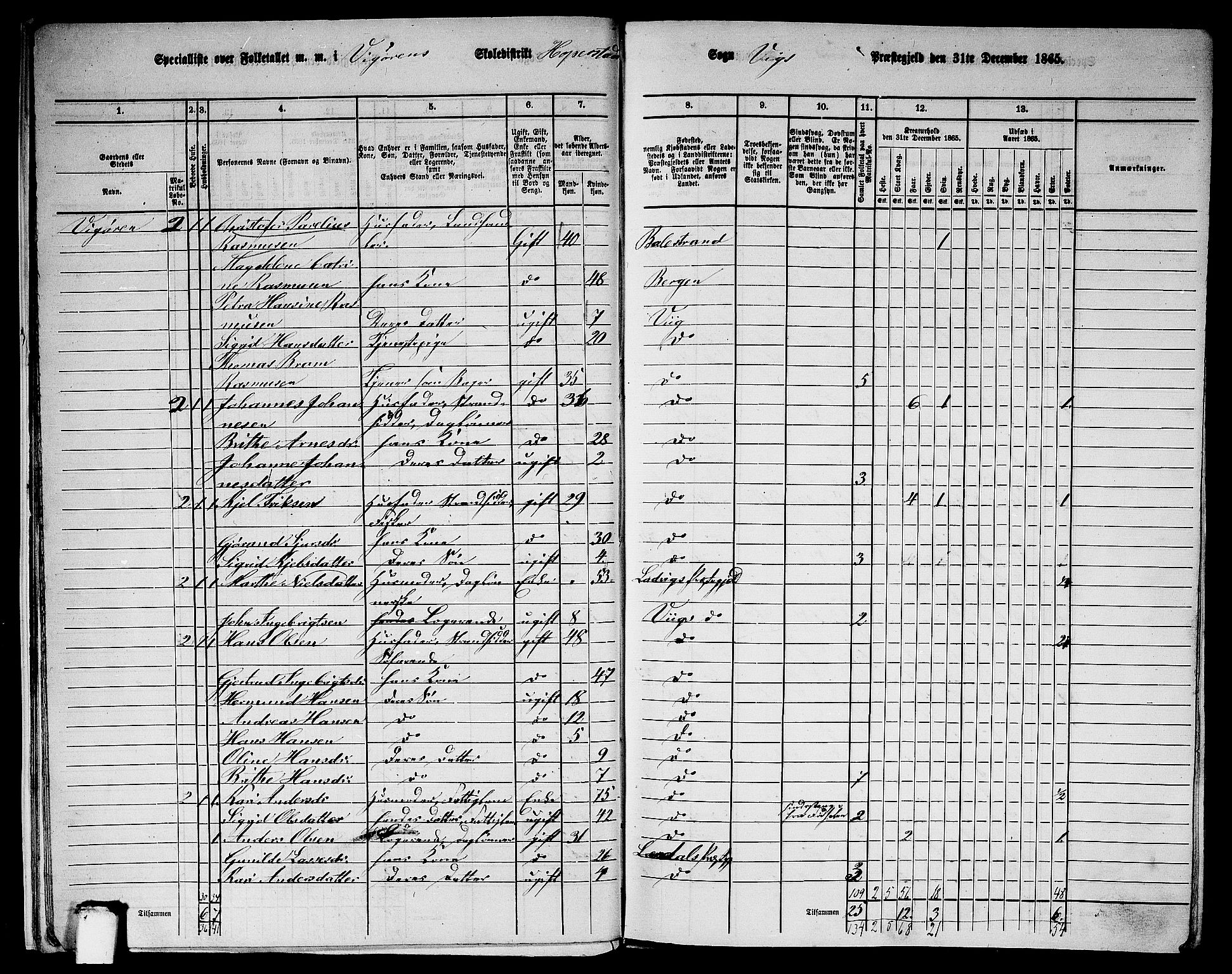 RA, 1865 census for Vik, 1865, p. 15