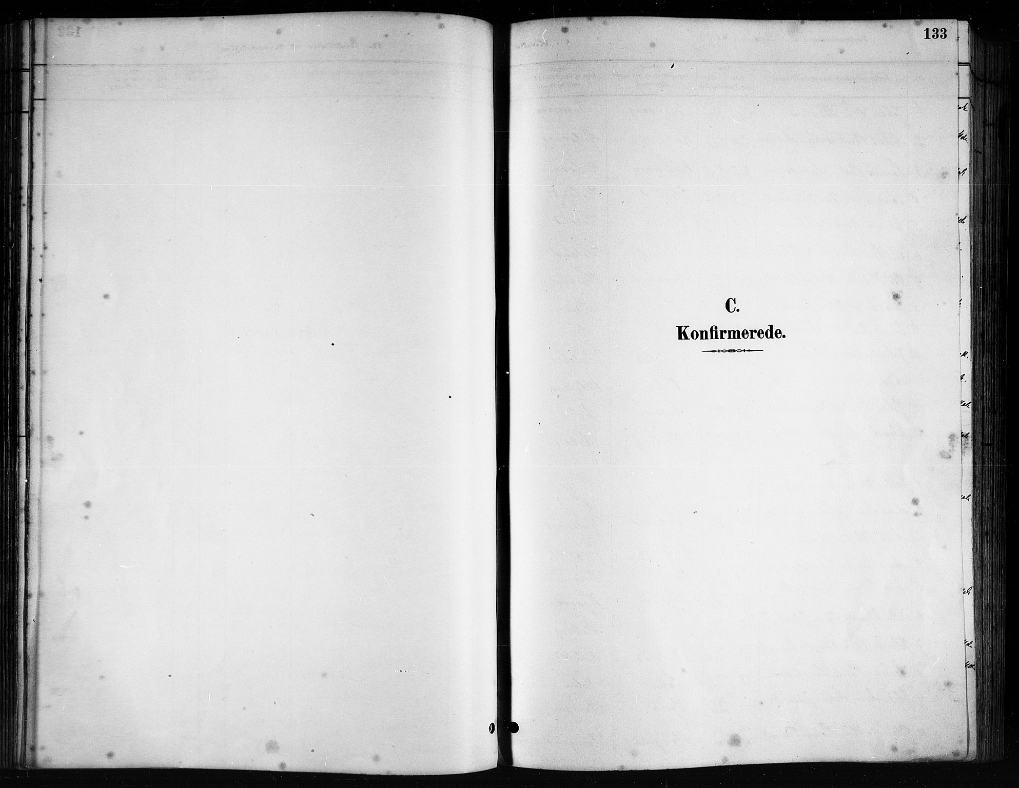 Ministerialprotokoller, klokkerbøker og fødselsregistre - Nordland, SAT/A-1459/816/L0253: Parish register (copy) no. 816C03, 1886-1905, p. 133