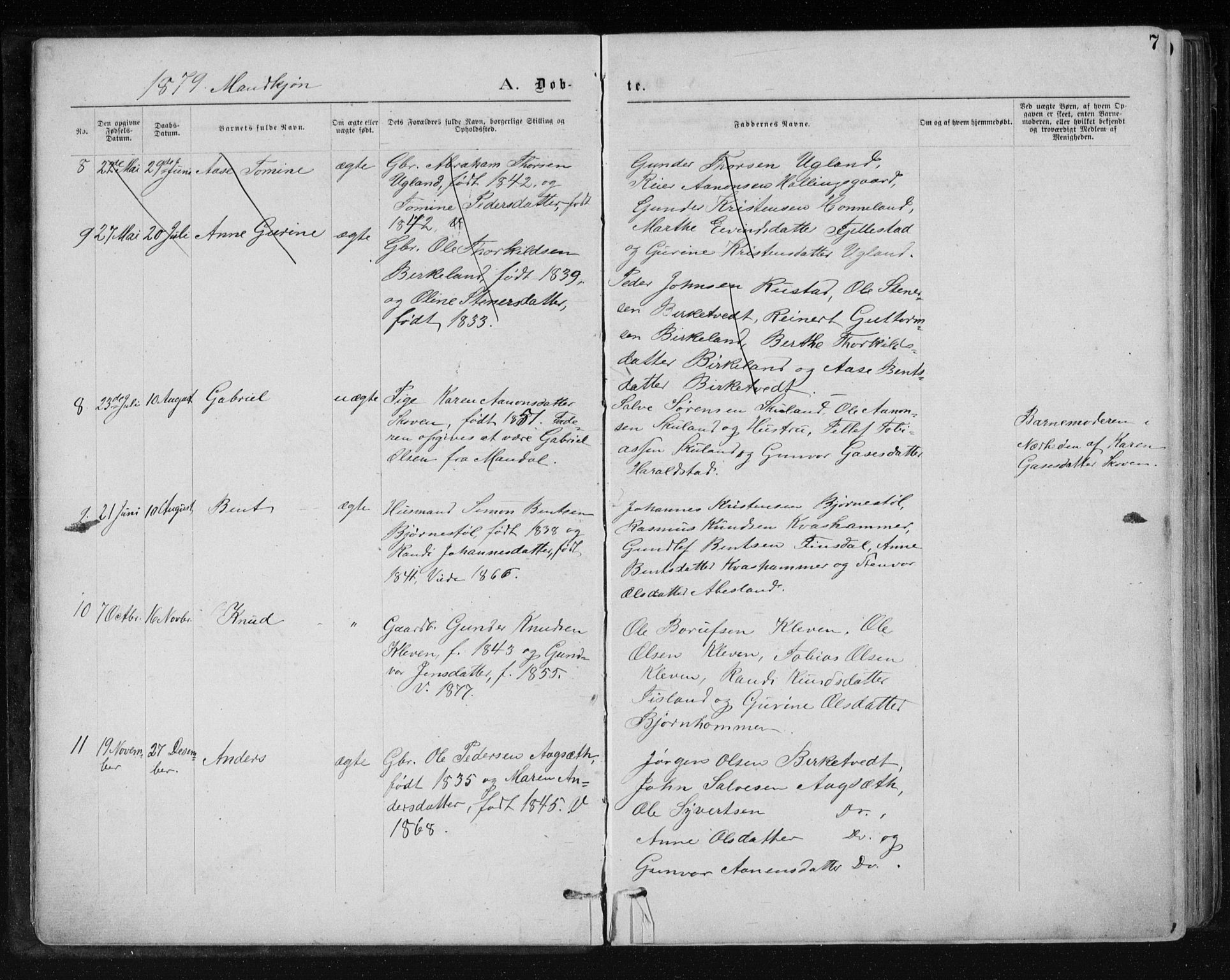 Holum sokneprestkontor, AV/SAK-1111-0022/F/Fb/Fbb/L0003: Parish register (copy) no. B 3, 1875-1898, p. 7