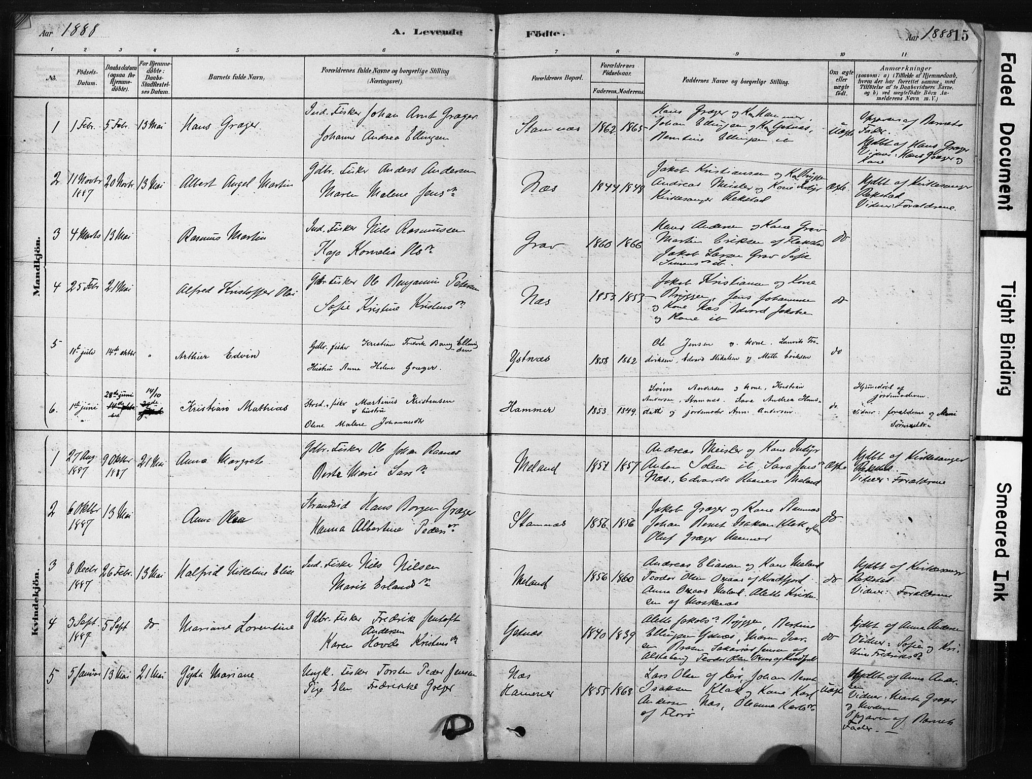 Ministerialprotokoller, klokkerbøker og fødselsregistre - Nordland, AV/SAT-A-1459/808/L0128: Parish register (official) no. 808A01, 1880-1902, p. 15