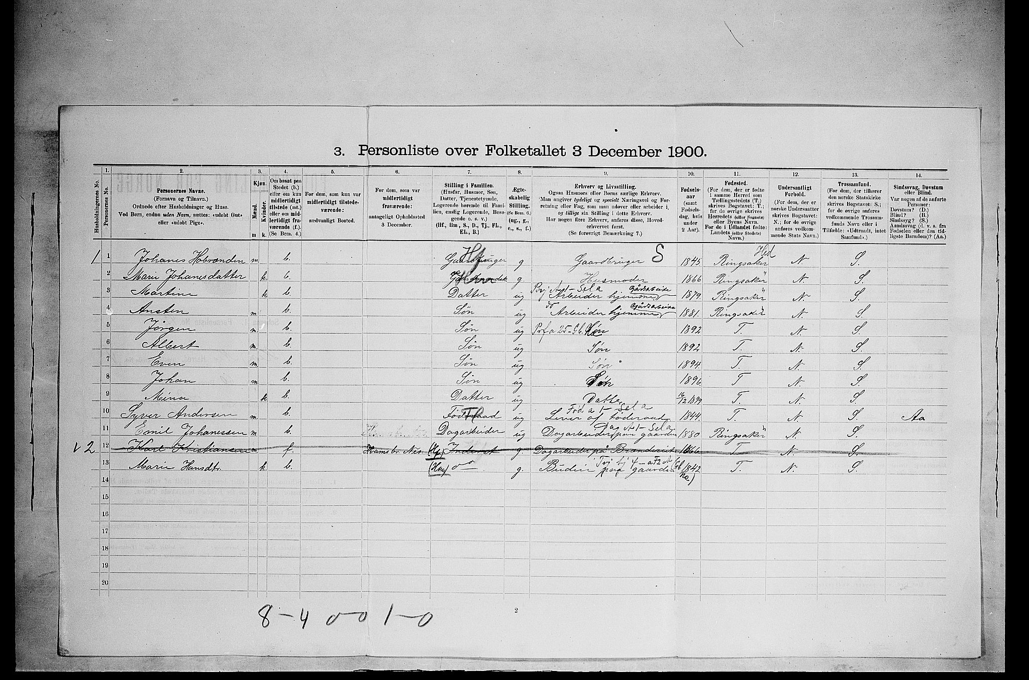 SAH, 1900 census for Nes, 1900, p. 633