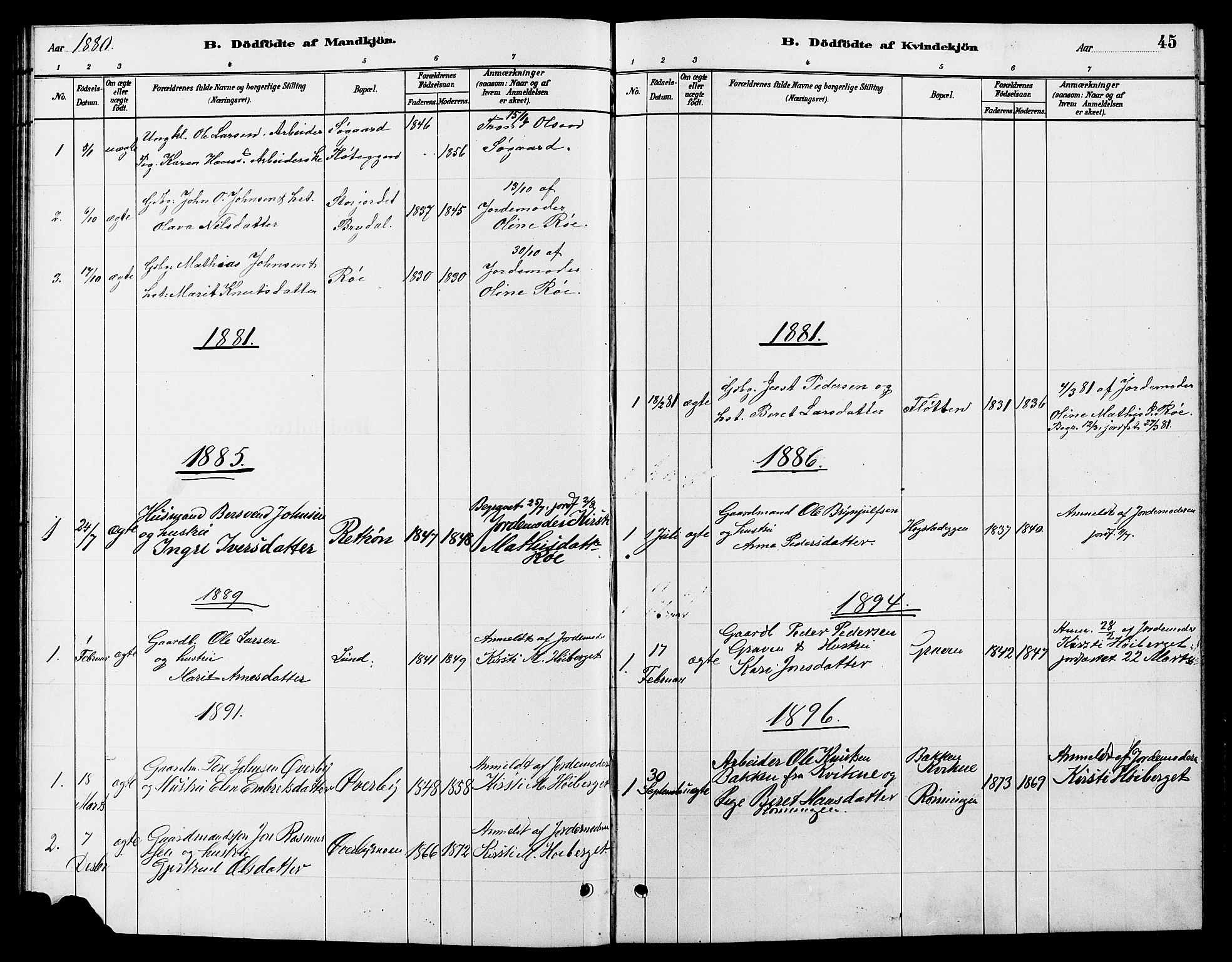 Tynset prestekontor, SAH/PREST-058/H/Ha/Hab/L0007: Parish register (copy) no. 7, 1880-1901, p. 45