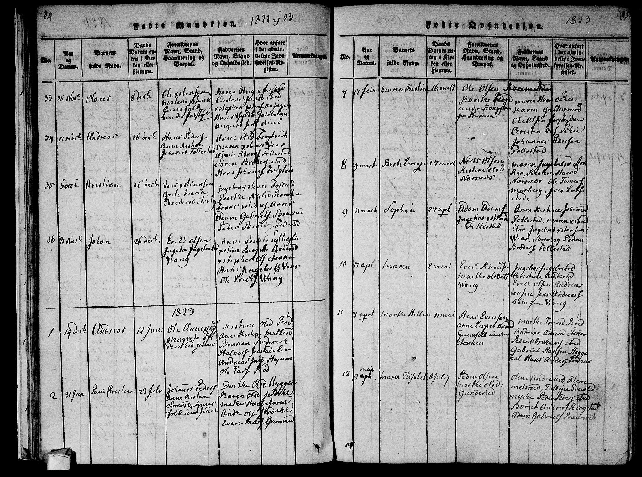 Røyken kirkebøker, AV/SAKO-A-241/F/Fa/L0004: Parish register (official) no. 4, 1814-1832, p. 84-85