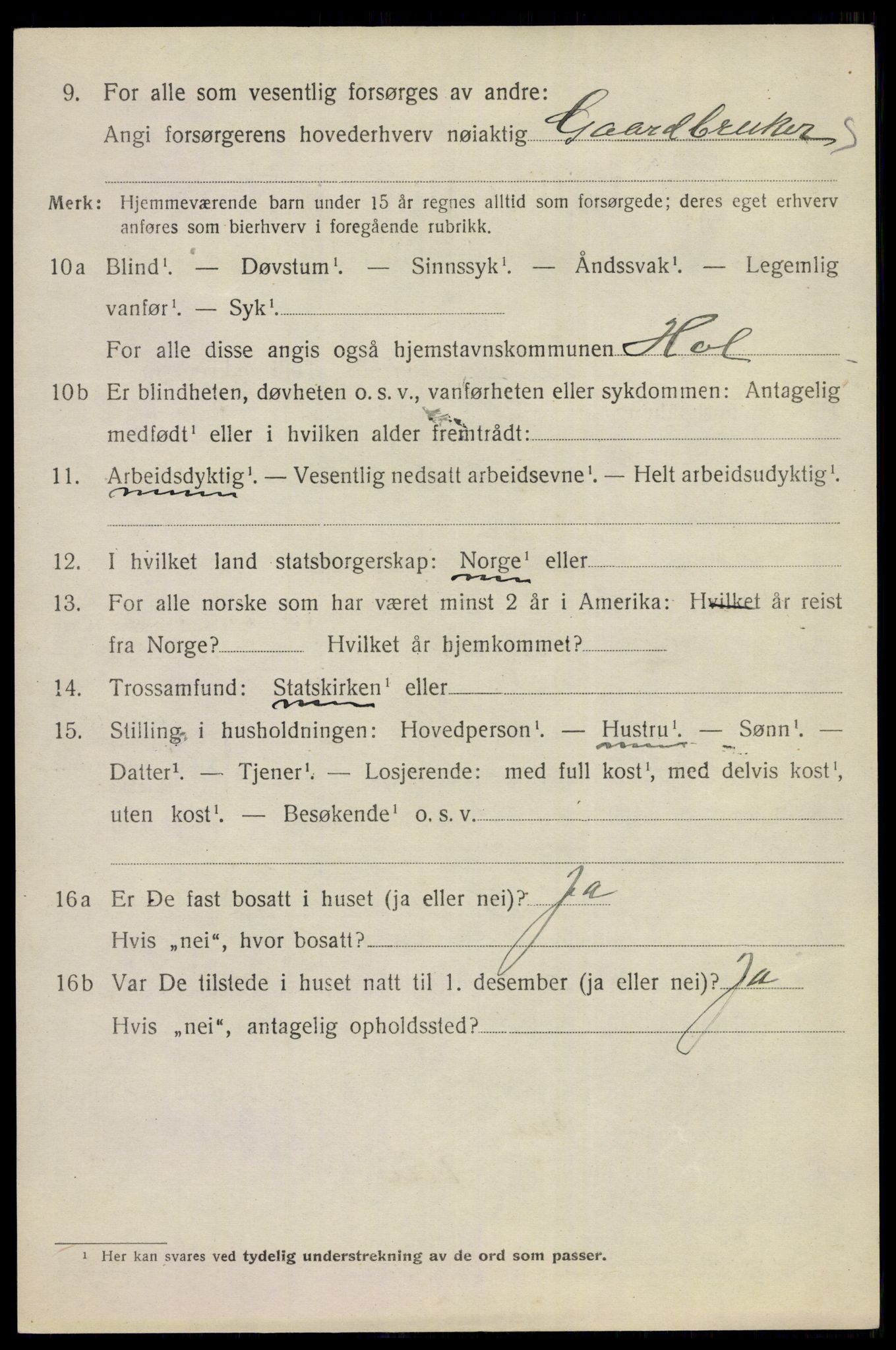 SAKO, 1920 census for Hol (Buskerud), 1920, p. 3772