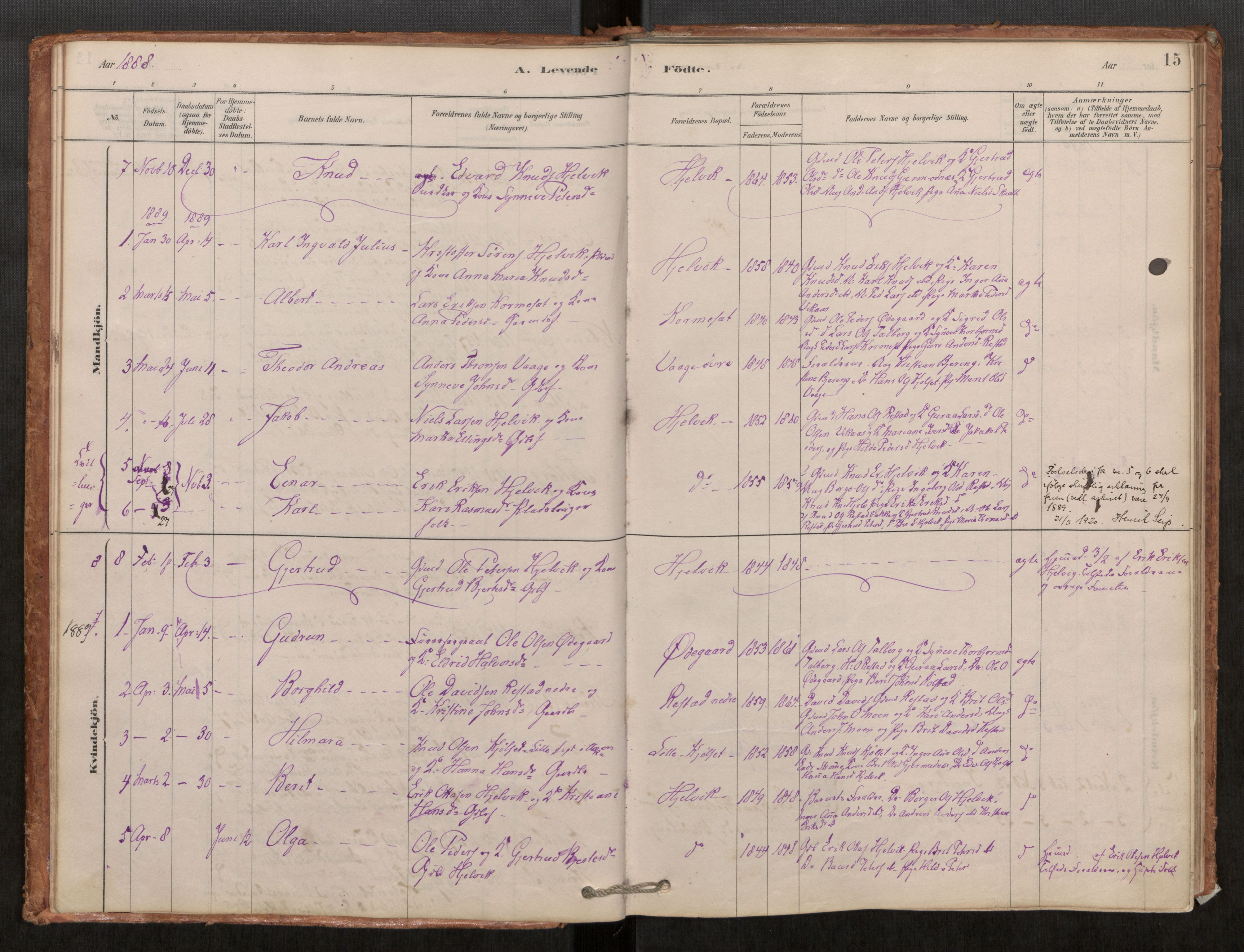 Ministerialprotokoller, klokkerbøker og fødselsregistre - Møre og Romsdal, AV/SAT-A-1454/550/L0621: Parish register (official) no. 550A01, 1878-1915, p. 15