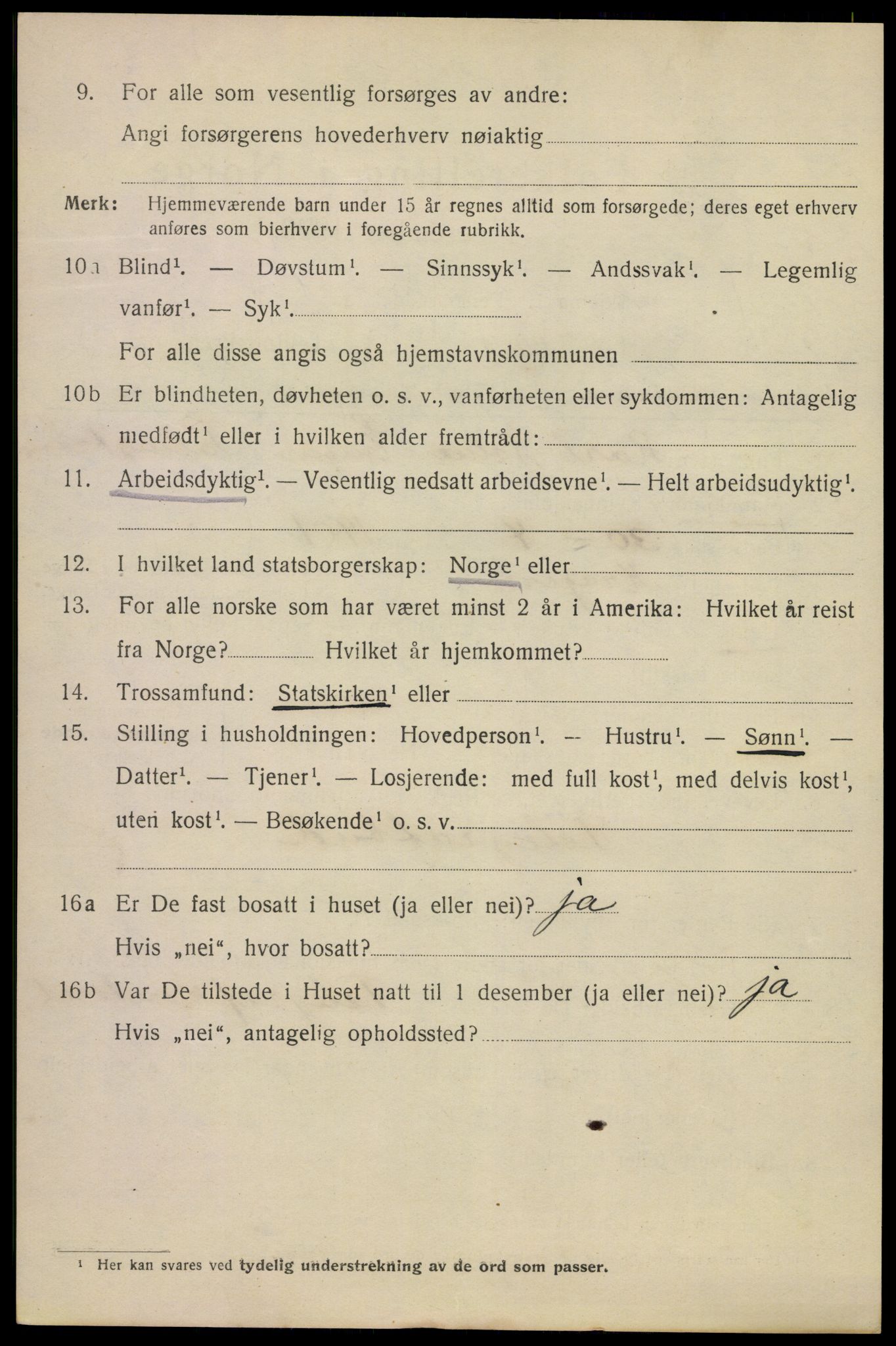 SAKO, 1920 census for Kragerø, 1920, p. 13102