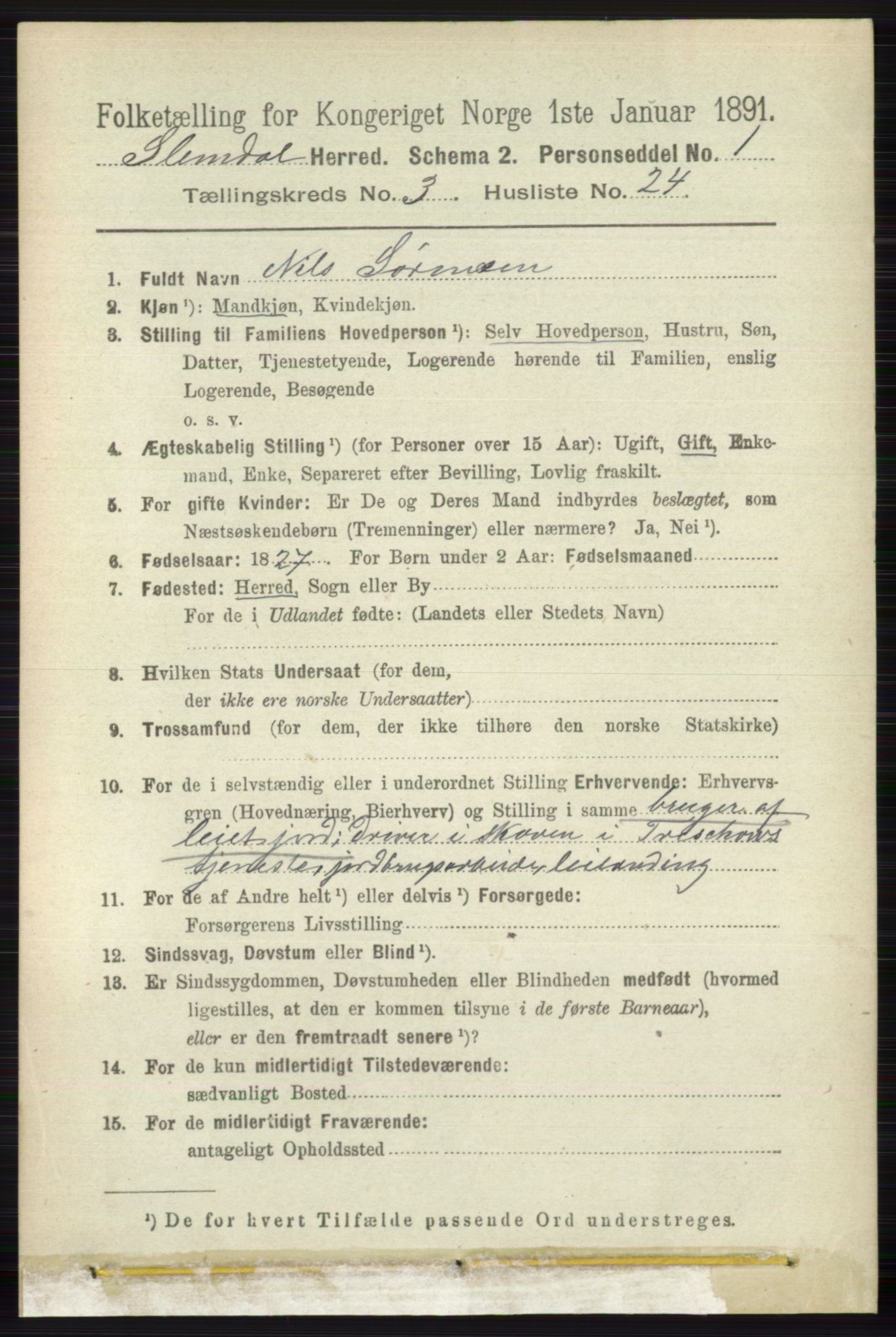 RA, 1891 census for 0811 Slemdal, 1891, p. 905