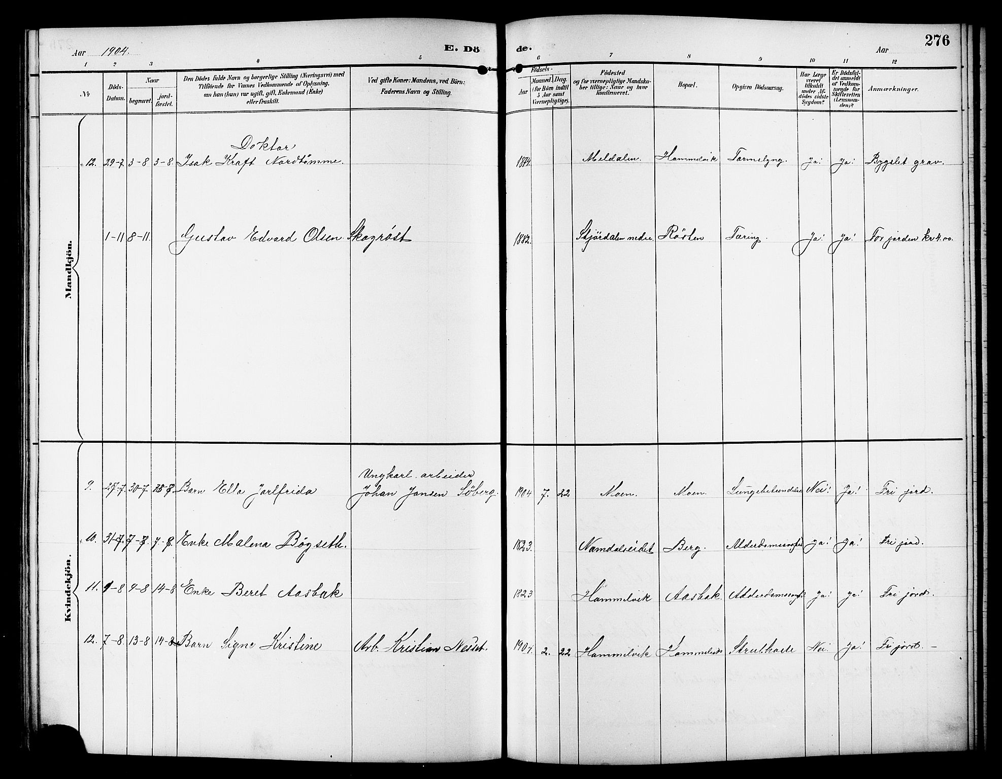 Ministerialprotokoller, klokkerbøker og fødselsregistre - Sør-Trøndelag, AV/SAT-A-1456/617/L0431: Parish register (copy) no. 617C01, 1889-1910, p. 276