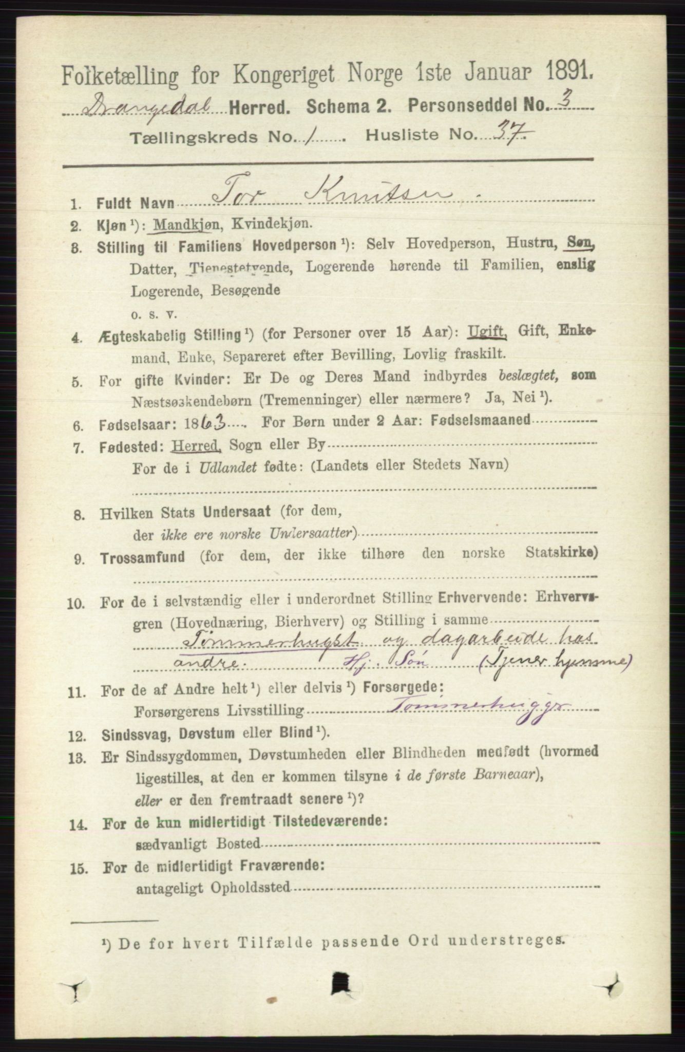 RA, 1891 census for 0817 Drangedal, 1891, p. 306