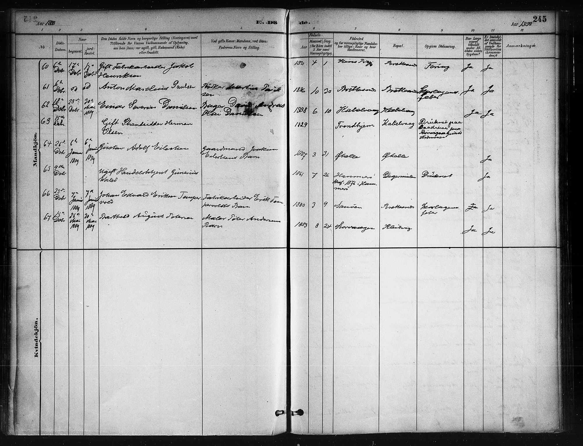 Ministerialprotokoller, klokkerbøker og fødselsregistre - Nordland, AV/SAT-A-1459/874/L1059: Parish register (official) no. 874A03, 1884-1890, p. 245