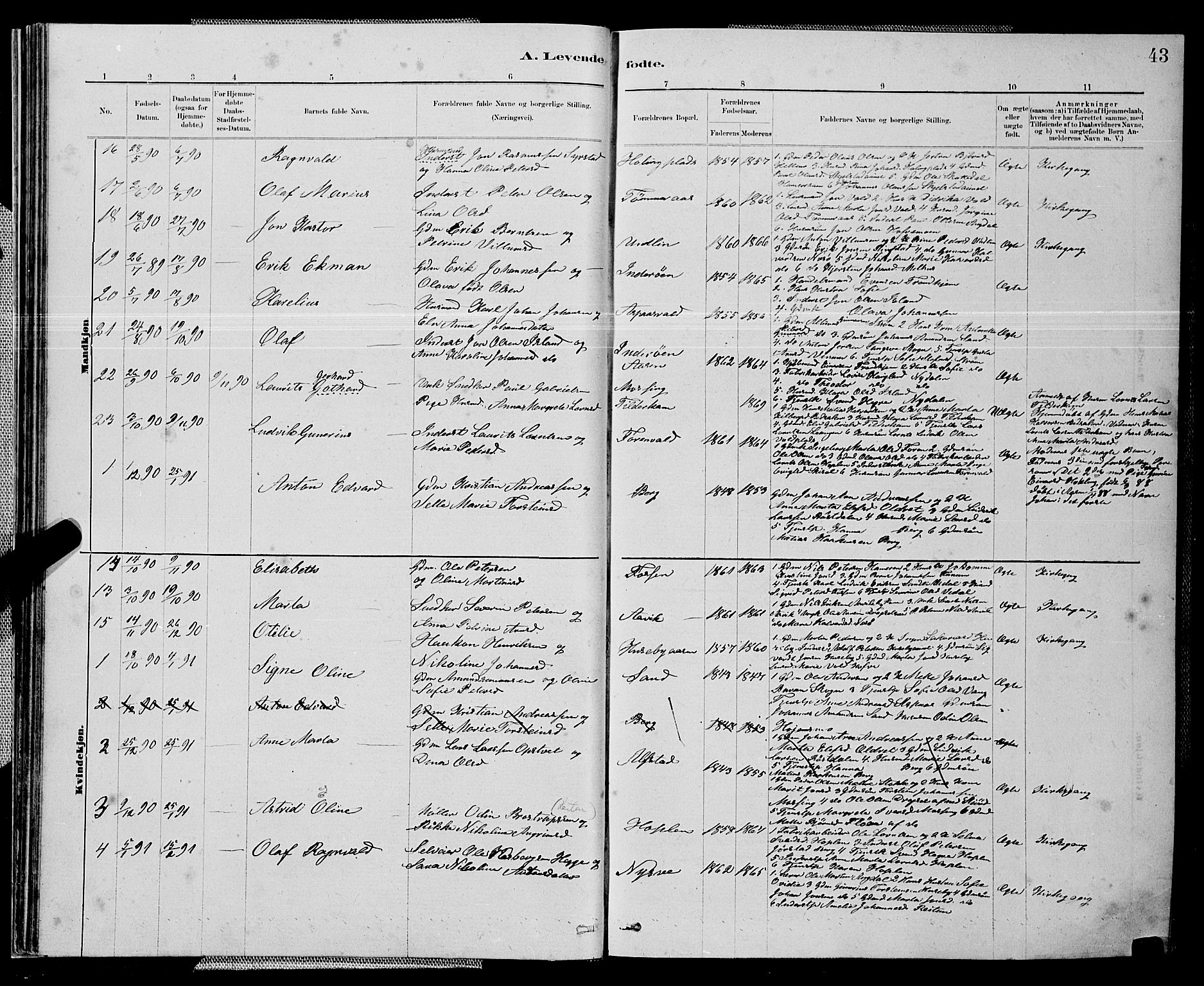 Ministerialprotokoller, klokkerbøker og fødselsregistre - Nord-Trøndelag, SAT/A-1458/714/L0134: Parish register (copy) no. 714C03, 1878-1898, p. 43