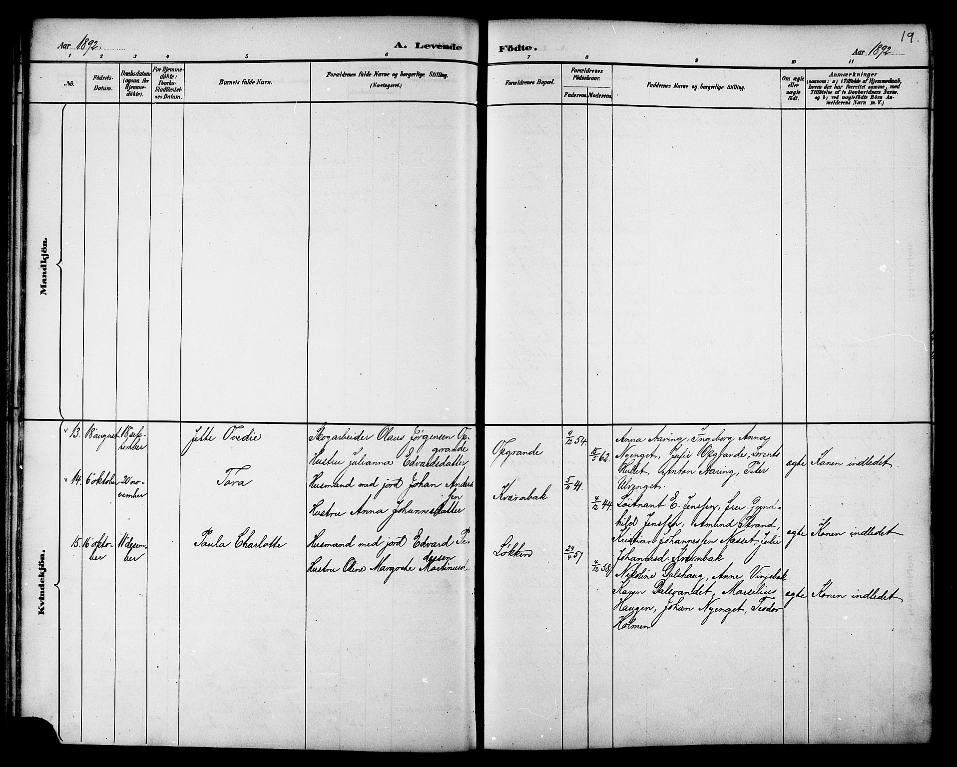 Ministerialprotokoller, klokkerbøker og fødselsregistre - Nord-Trøndelag, AV/SAT-A-1458/733/L0327: Parish register (copy) no. 733C02, 1888-1918, p. 19