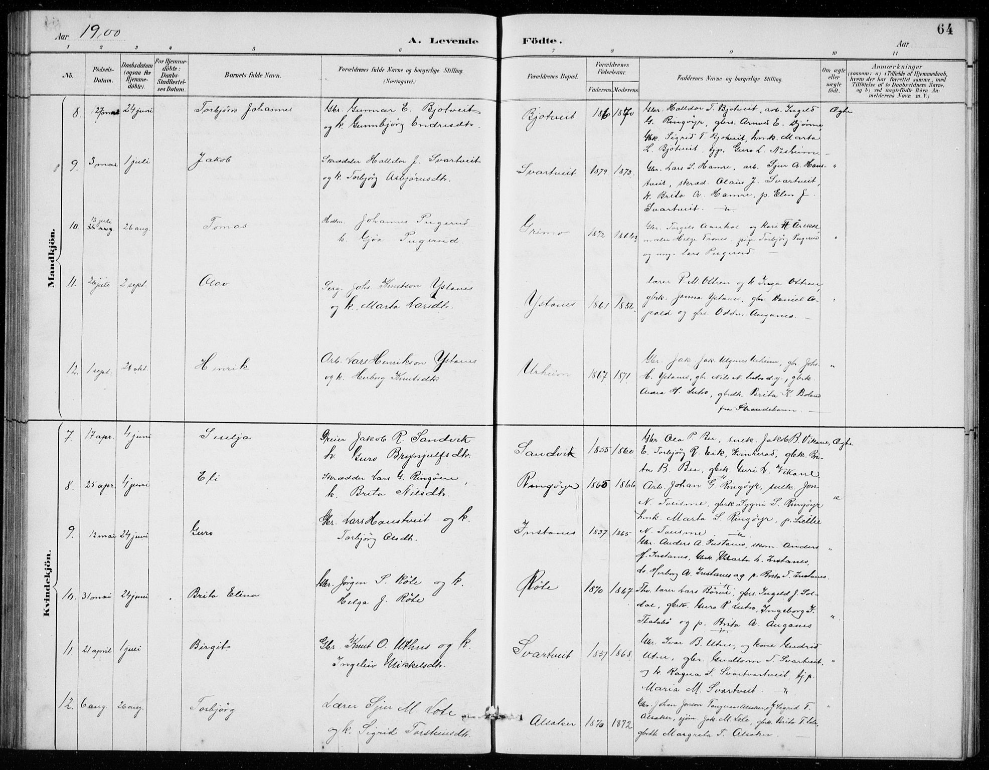 Ullensvang sokneprestembete, AV/SAB-A-78701/H/Hab: Parish register (copy) no. E  7, 1887-1929, p. 64