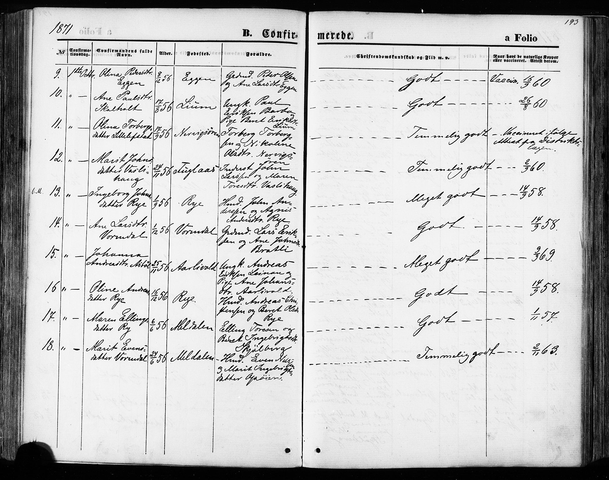 Ministerialprotokoller, klokkerbøker og fødselsregistre - Sør-Trøndelag, AV/SAT-A-1456/668/L0807: Parish register (official) no. 668A07, 1870-1880, p. 193