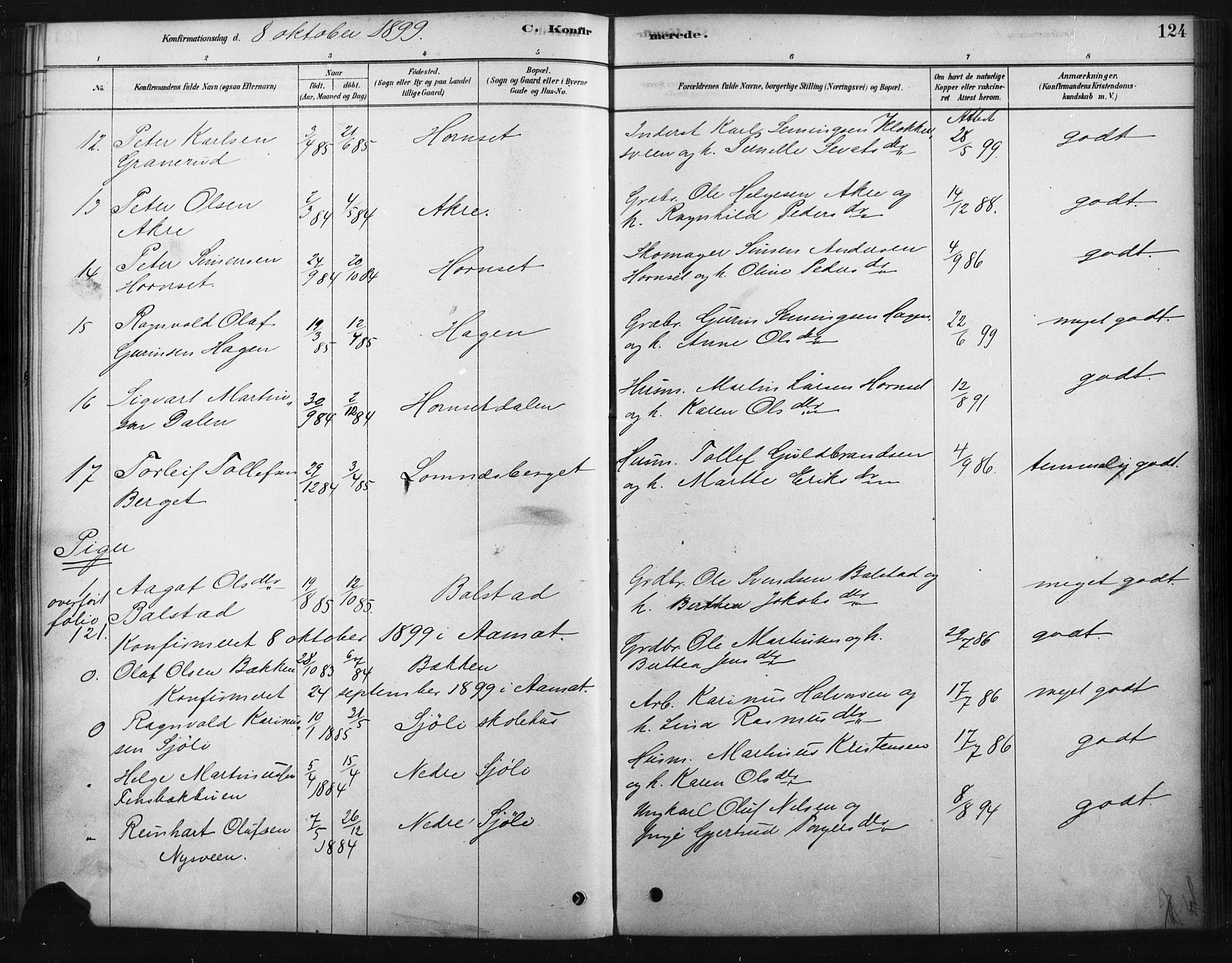 Rendalen prestekontor, AV/SAH-PREST-054/H/Ha/Haa/L0010: Parish register (official) no. 10, 1878-1901, p. 124