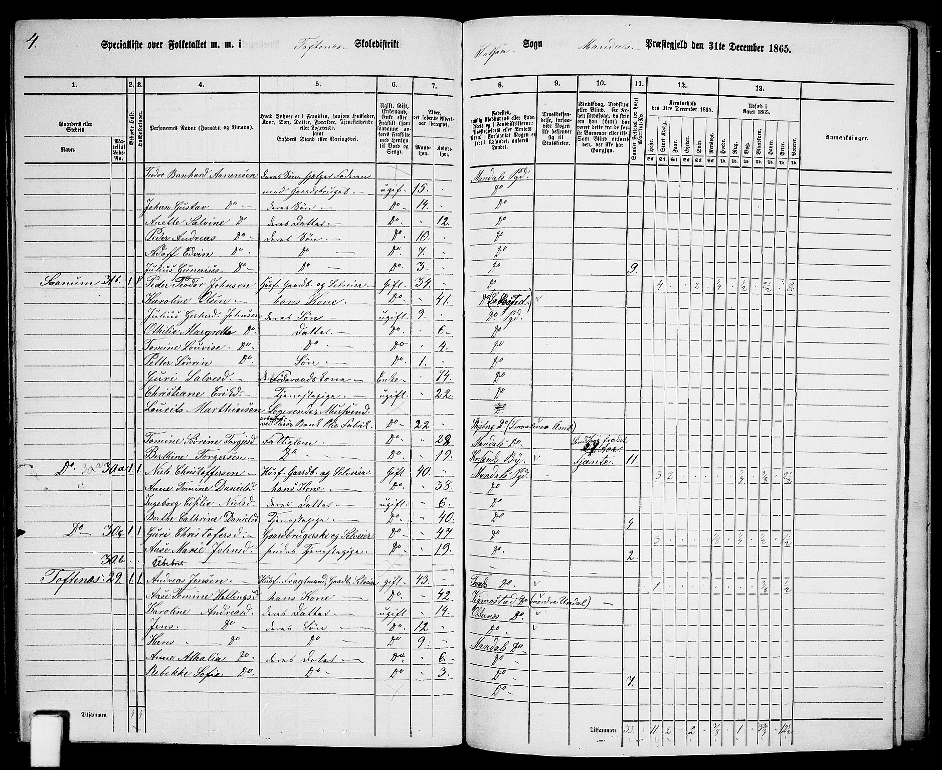 RA, 1865 census for Mandal/Halse og Harkmark, 1865, p. 113