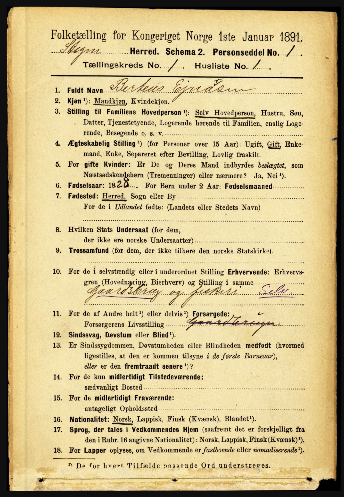 RA, 1891 census for 1848 Steigen, 1891, p. 116