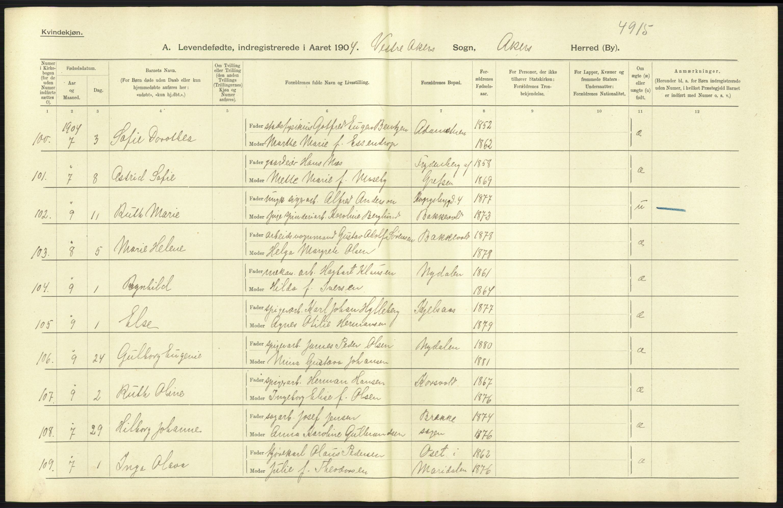 Statistisk sentralbyrå, Sosiodemografiske emner, Befolkning, AV/RA-S-2228/D/Df/Dfa/Dfab/L0002: Akershus amt: Fødte, gifte, døde, 1904, p. 407