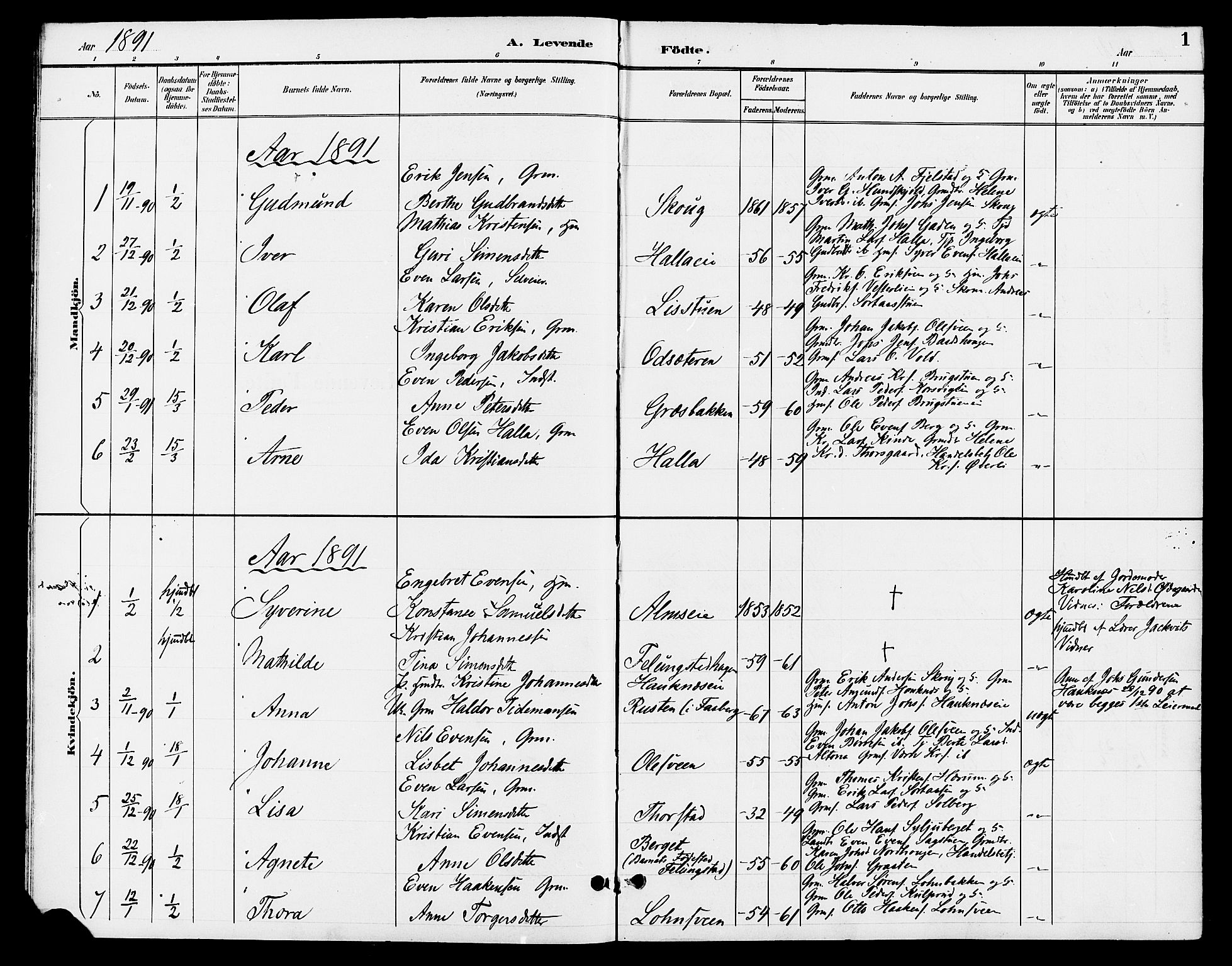Ringsaker prestekontor, AV/SAH-PREST-014/L/La/L0013: Parish register (copy) no. 13, 1891-1904, p. 1