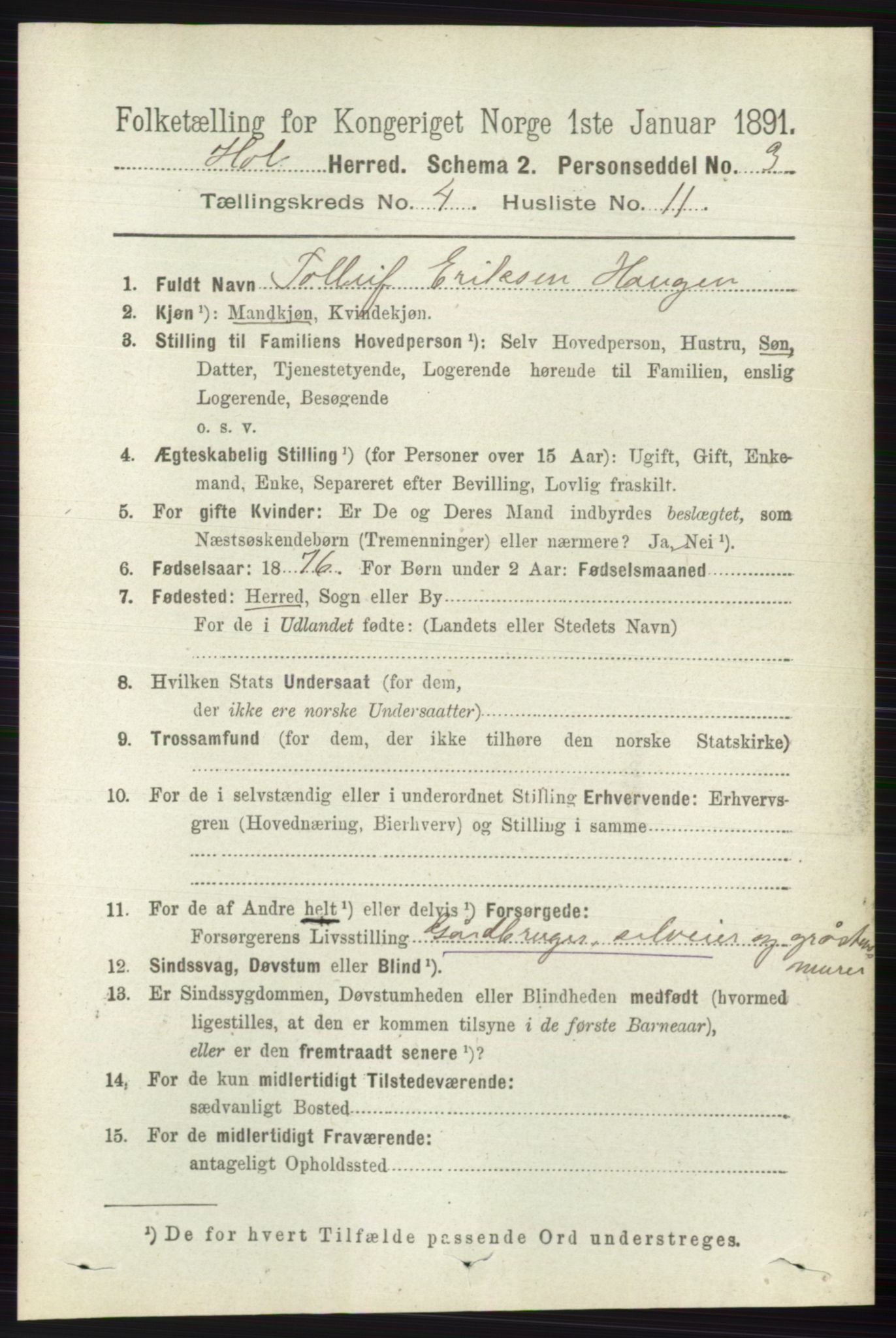 RA, 1891 census for 0620 Hol, 1891, p. 1318