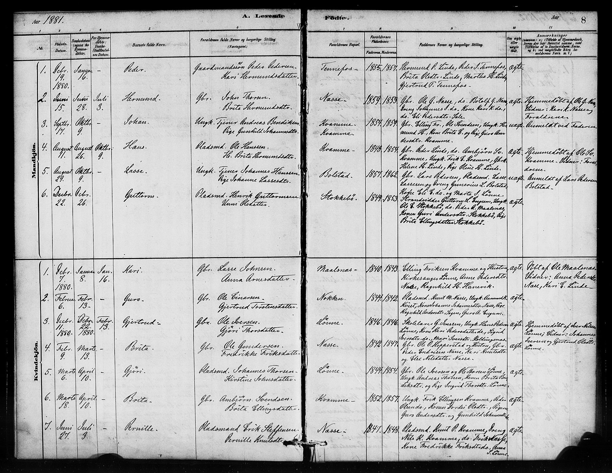 Vik sokneprestembete, AV/SAB-A-81501/H/Haa/Haad/L0001: Parish register (official) no. D 1, 1878-1890, p. 8