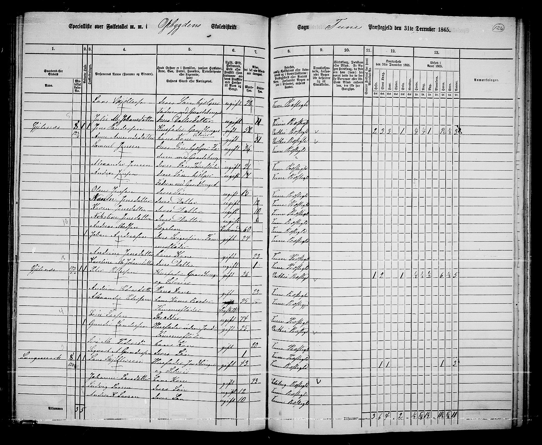 RA, 1865 census for Tune, 1865, p. 208