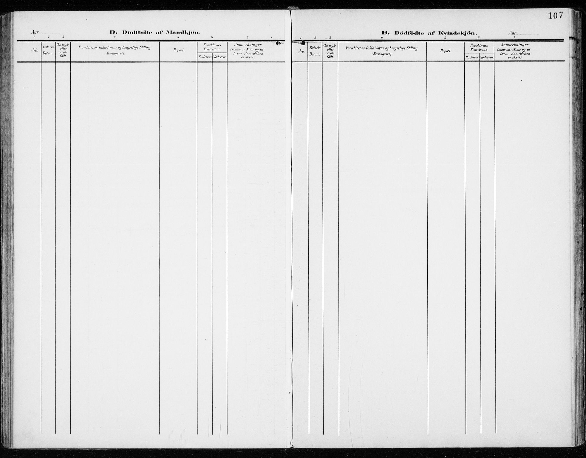 Vardal prestekontor, SAH/PREST-100/H/Ha/Haa/L0016: Parish register (official) no. 16, 1904-1916, p. 107