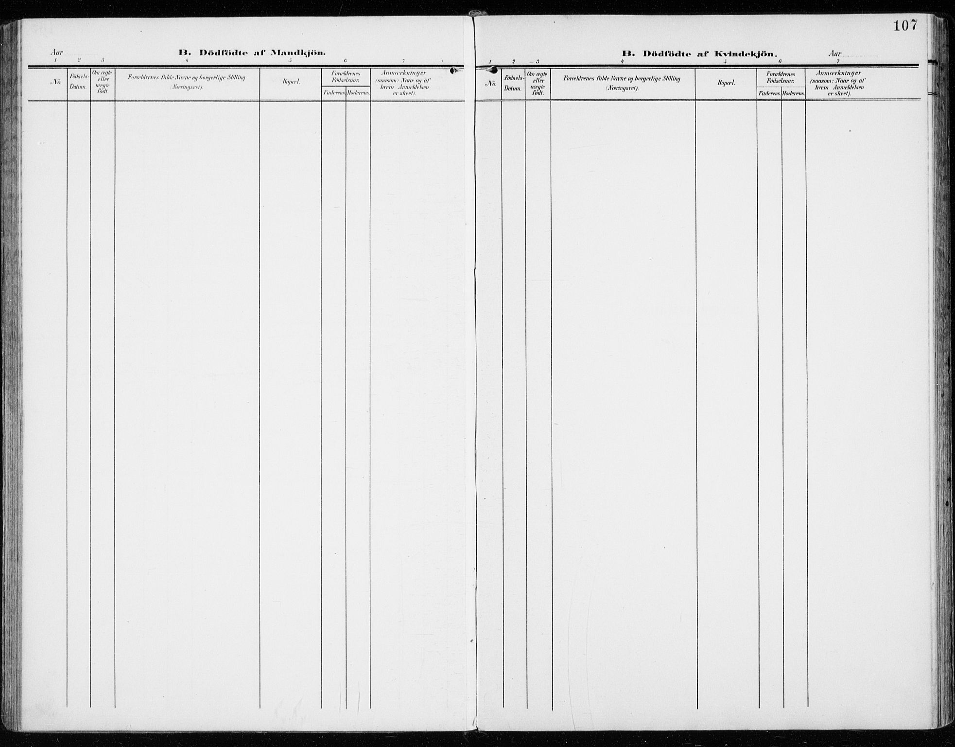 Vardal prestekontor, AV/SAH-PREST-100/H/Ha/Haa/L0016: Parish register (official) no. 16, 1904-1916, p. 107