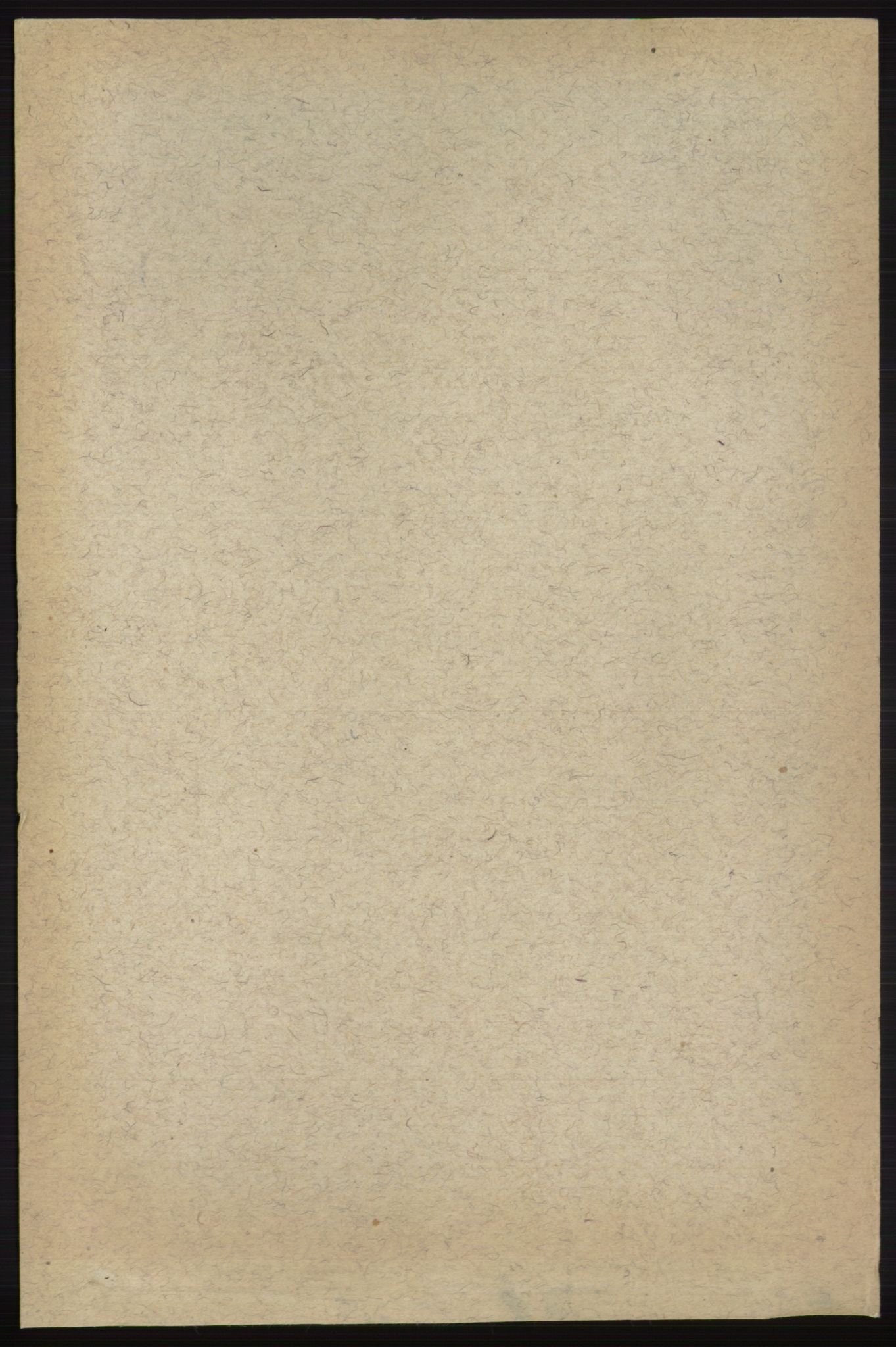 RA, 1891 census for 0712 Skoger, 1891, p. 5186