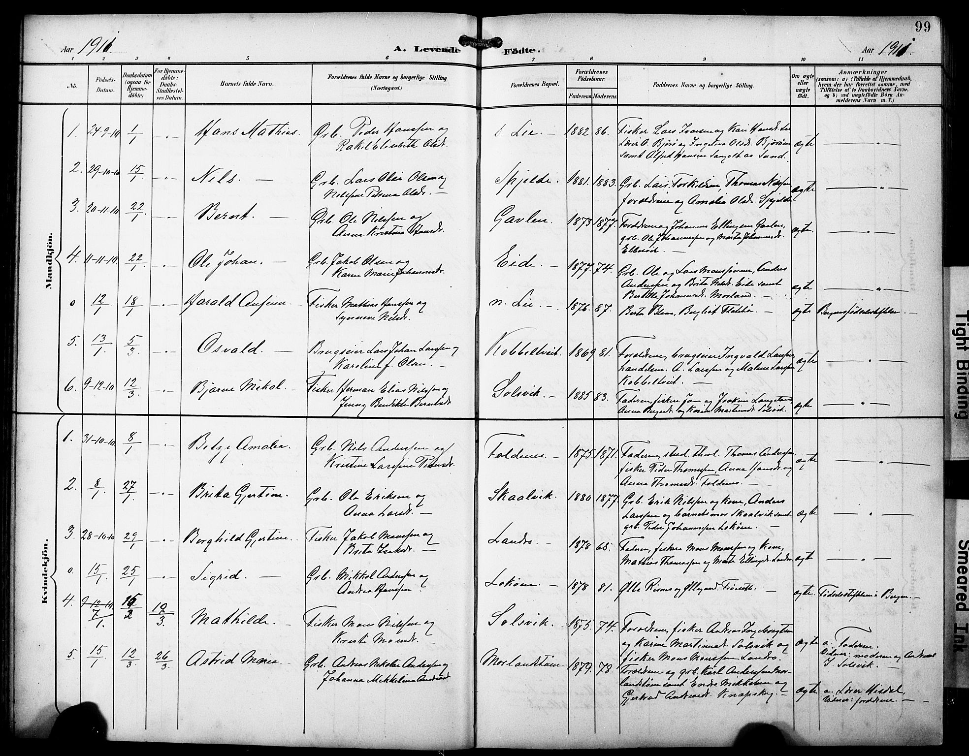Fjell sokneprestembete, SAB/A-75301/H/Hab: Parish register (copy) no. A 5, 1899-1918, p. 99