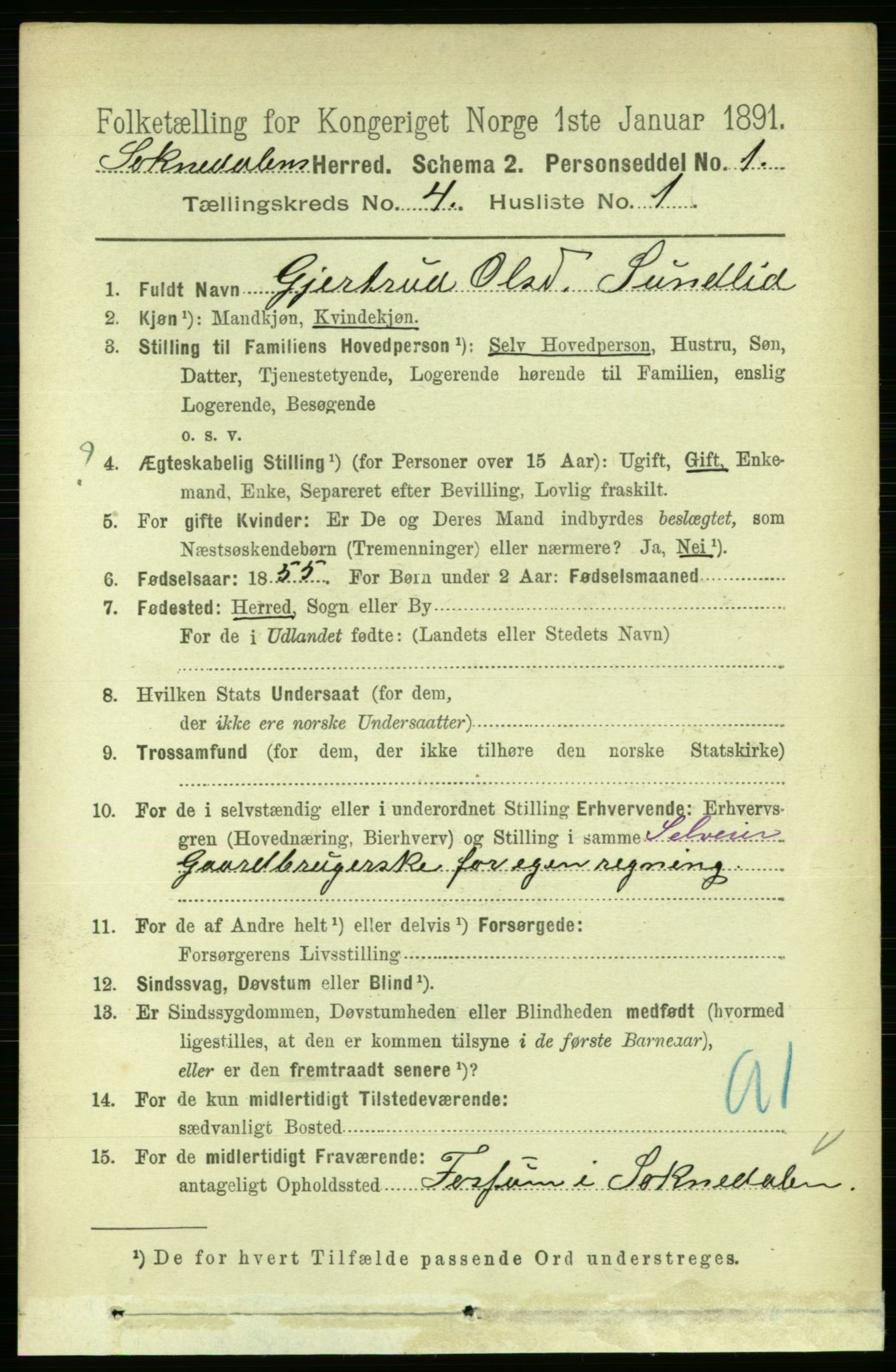 RA, 1891 census for 1649 Soknedal, 1891, p. 1601