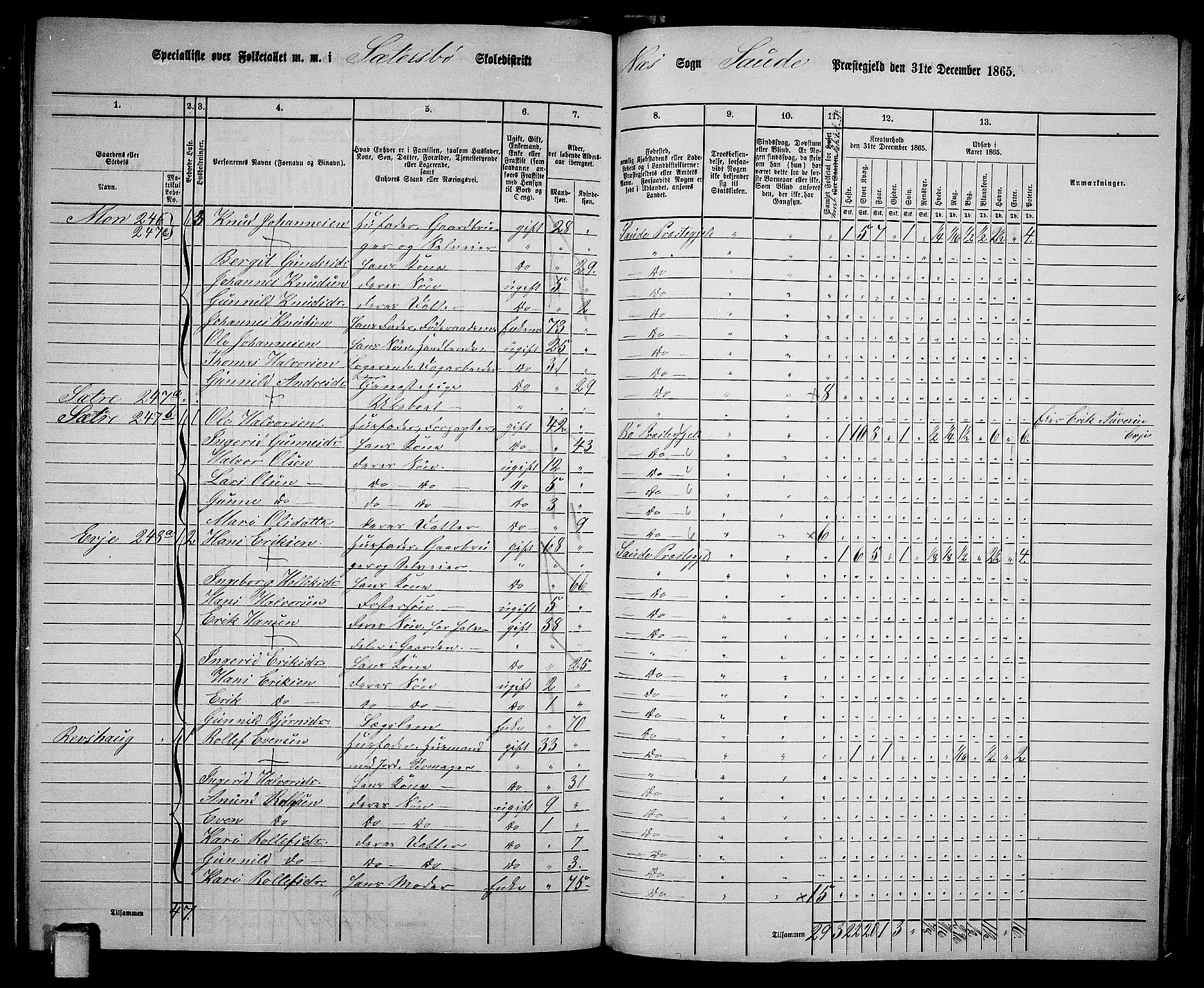 RA, 1865 census for Sauherad, 1865, p. 144