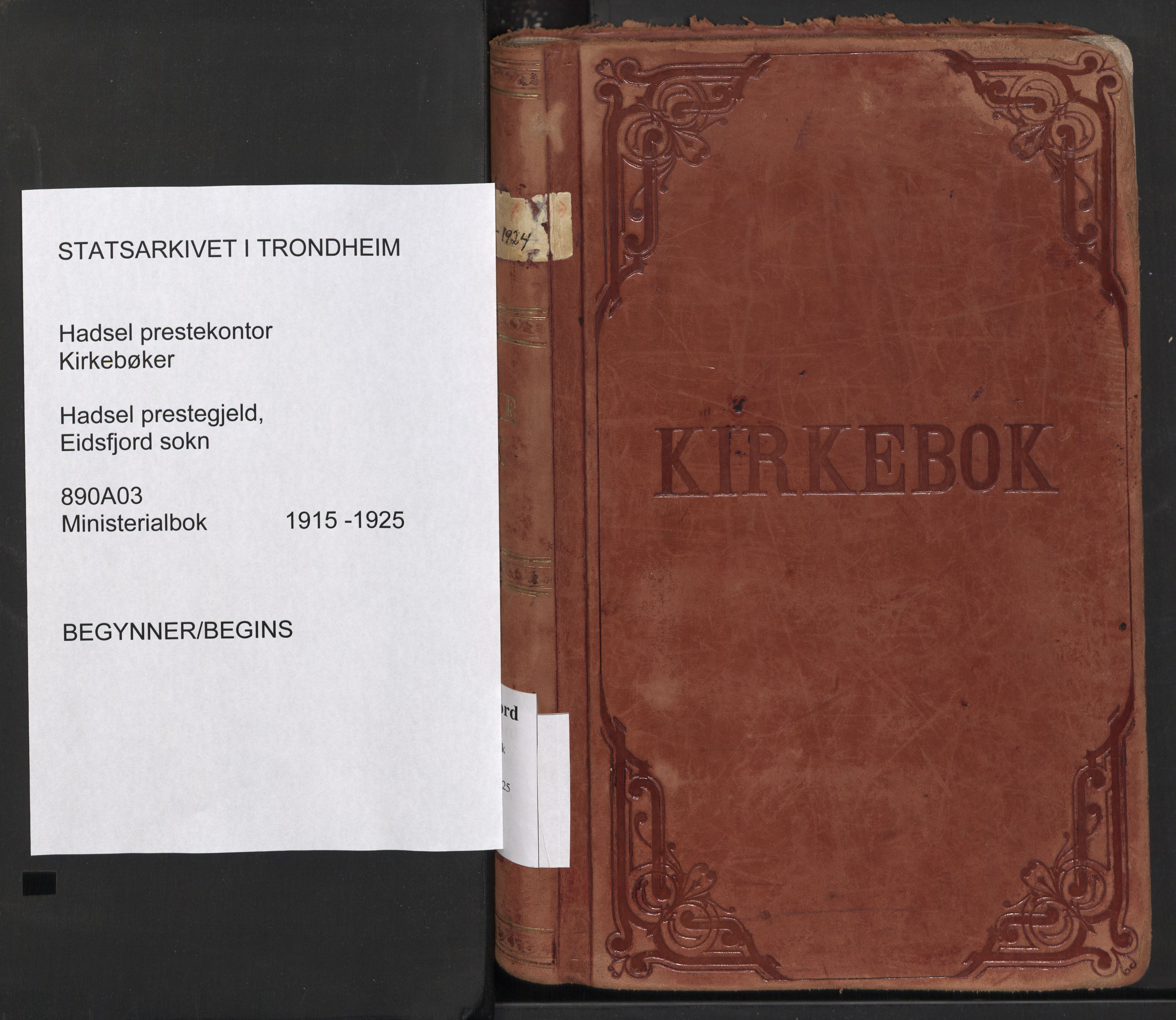 Ministerialprotokoller, klokkerbøker og fødselsregistre - Nordland, AV/SAT-A-1459/890/L1288: Parish register (official) no. 890A03, 1915-1925