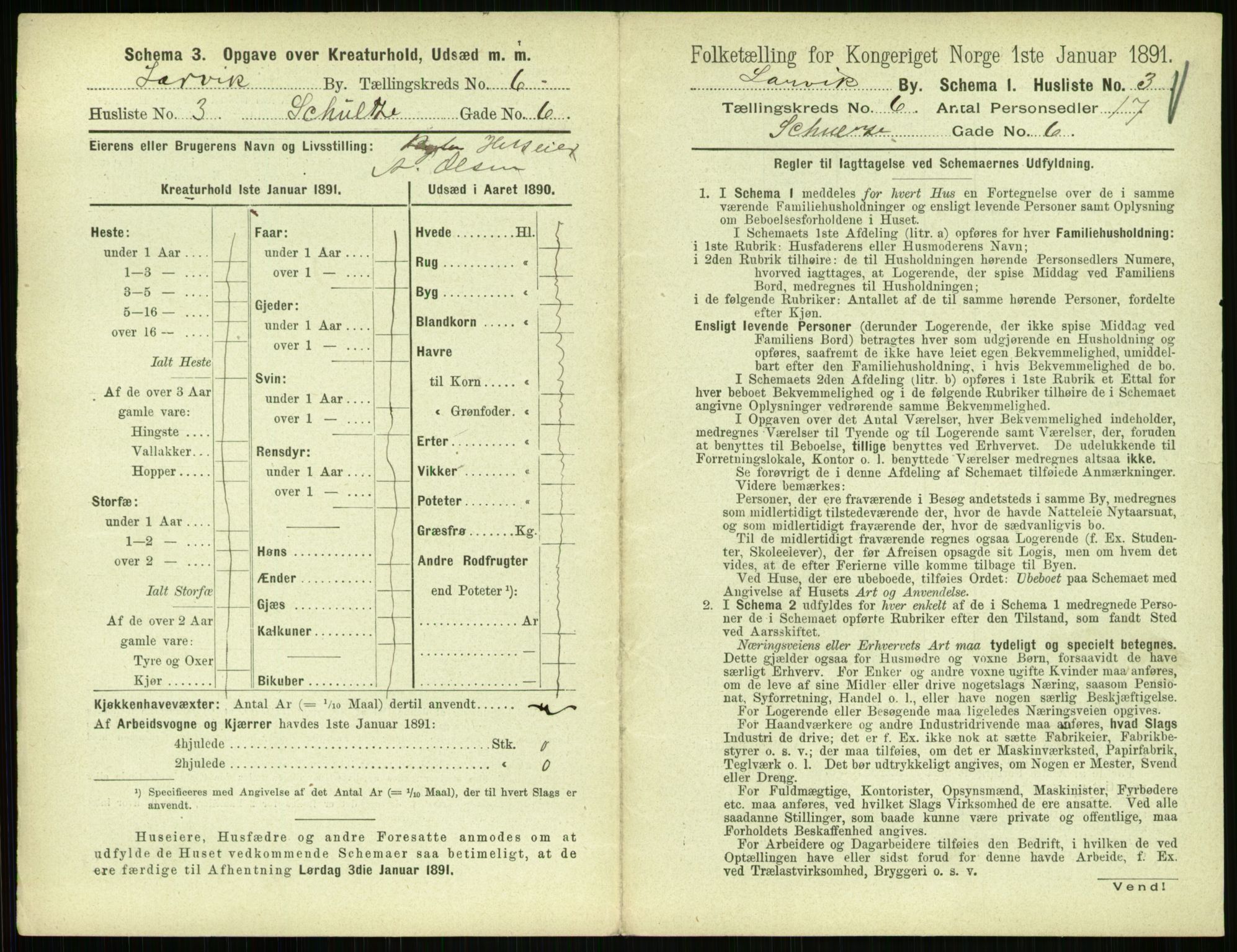 RA, 1891 census for 0707 Larvik, 1891, p. 811