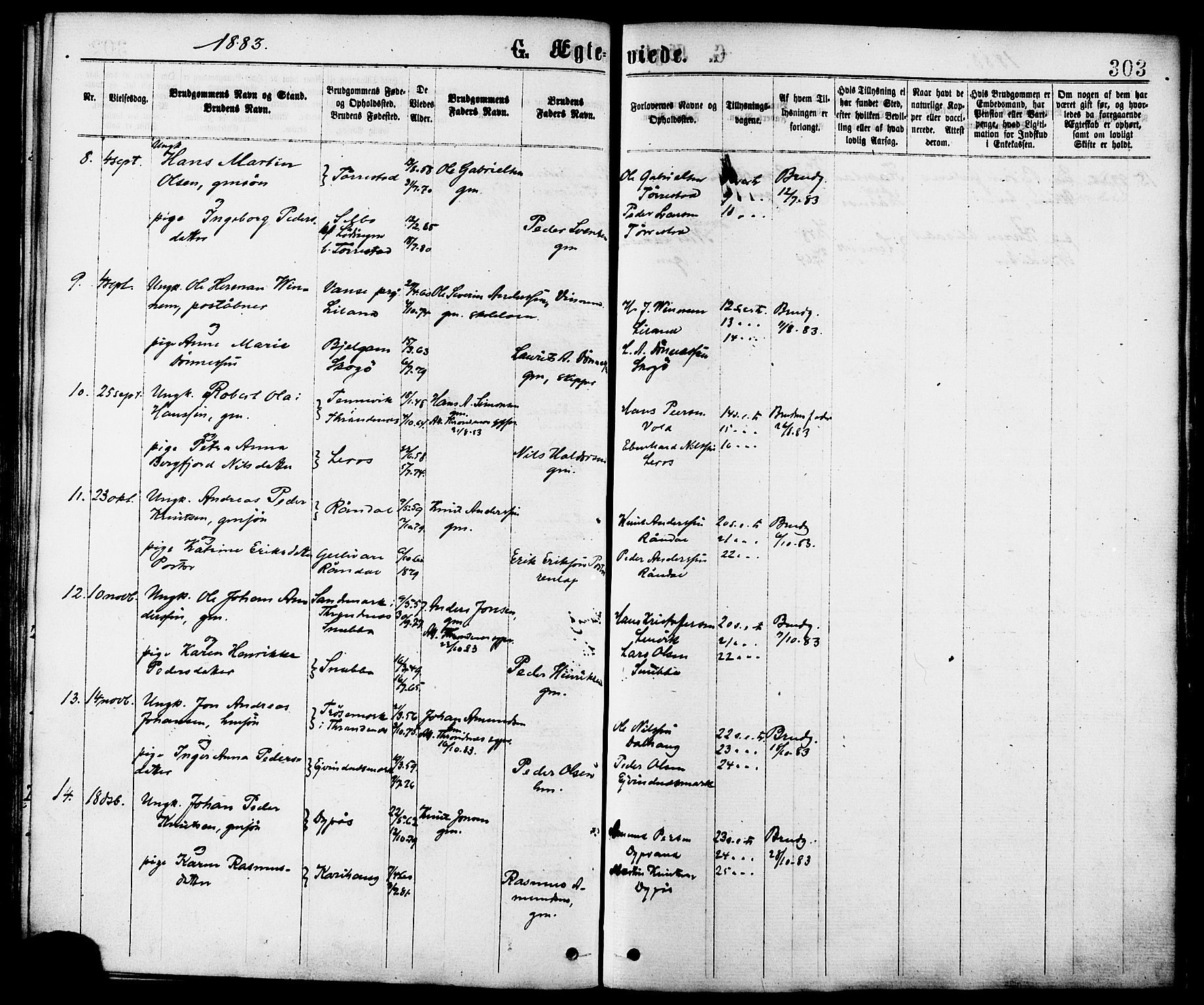 Ministerialprotokoller, klokkerbøker og fødselsregistre - Nordland, AV/SAT-A-1459/863/L0897: Parish register (official) no. 863A09, 1872-1886, p. 303