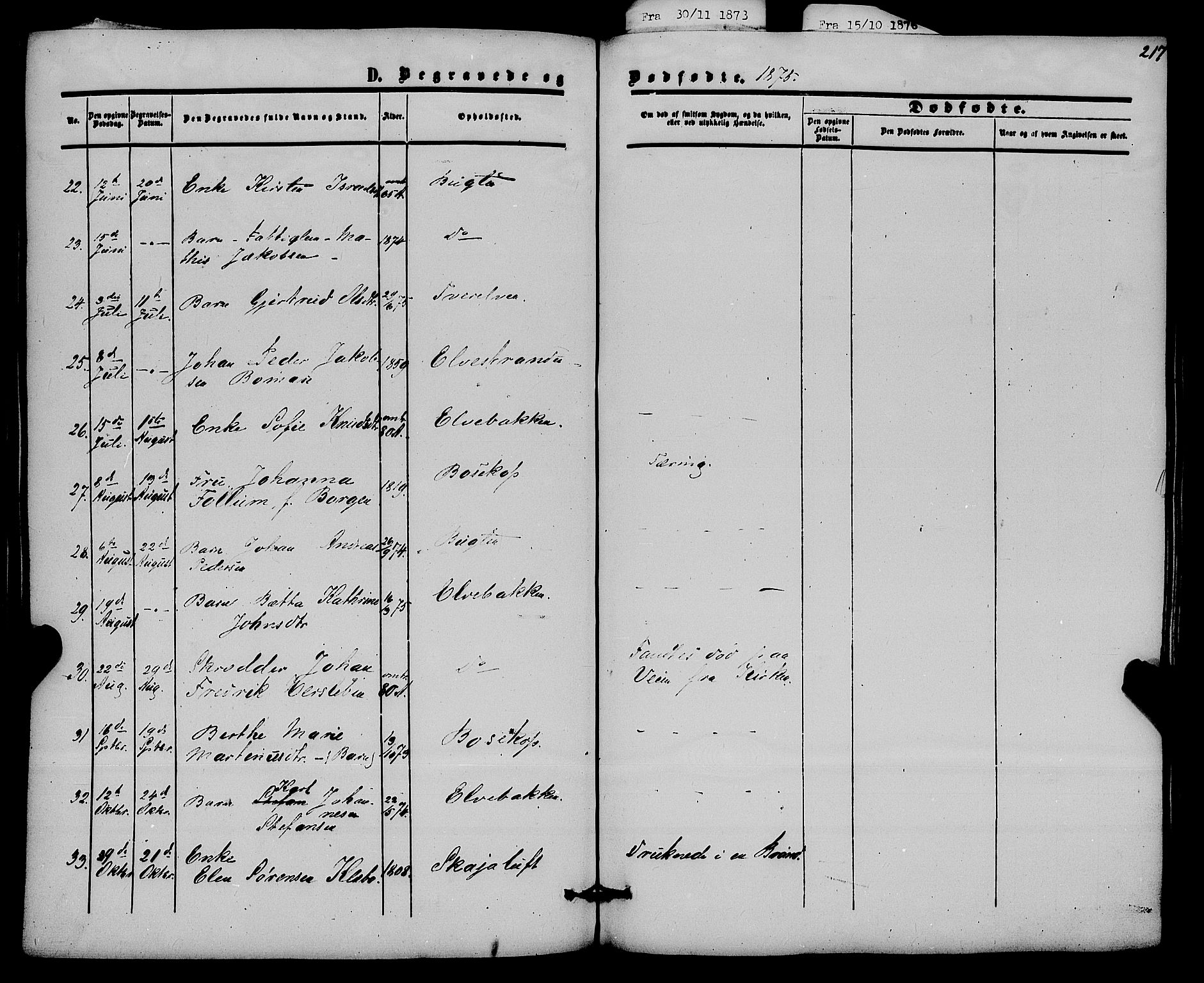 Alta sokneprestkontor, SATØ/S-1338/H/Ha/L0001.kirke: Parish register (official) no. 1, 1858-1878, p. 217