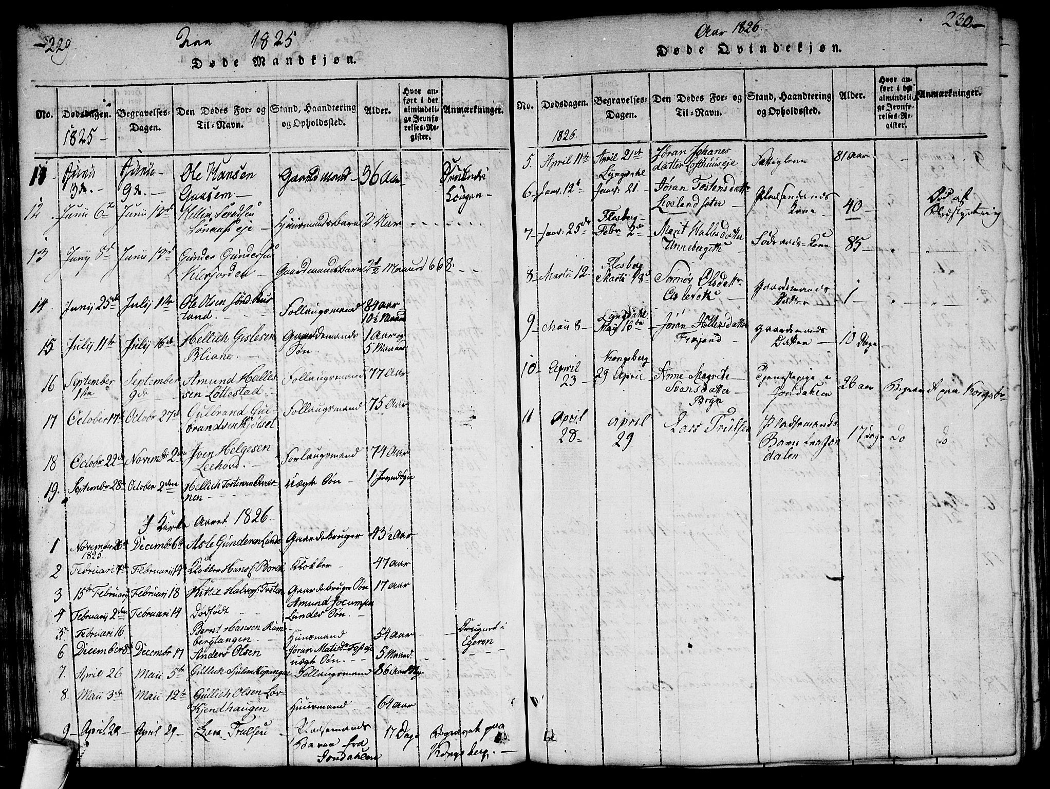 Flesberg kirkebøker, AV/SAKO-A-18/G/Ga/L0001: Parish register (copy) no. I 1, 1816-1834, p. 229-230