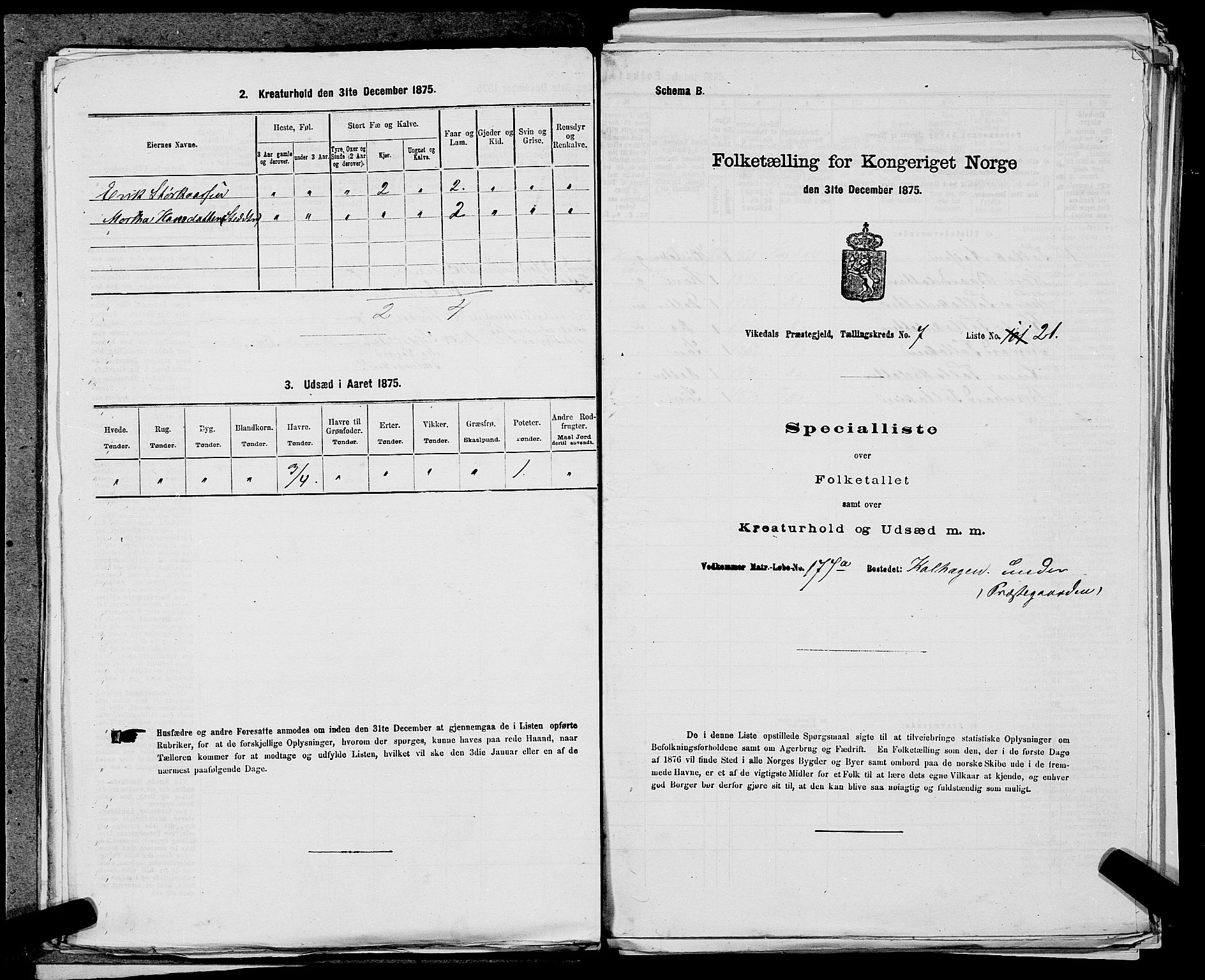 SAST, 1875 census for 1157P Vikedal, 1875, p. 813