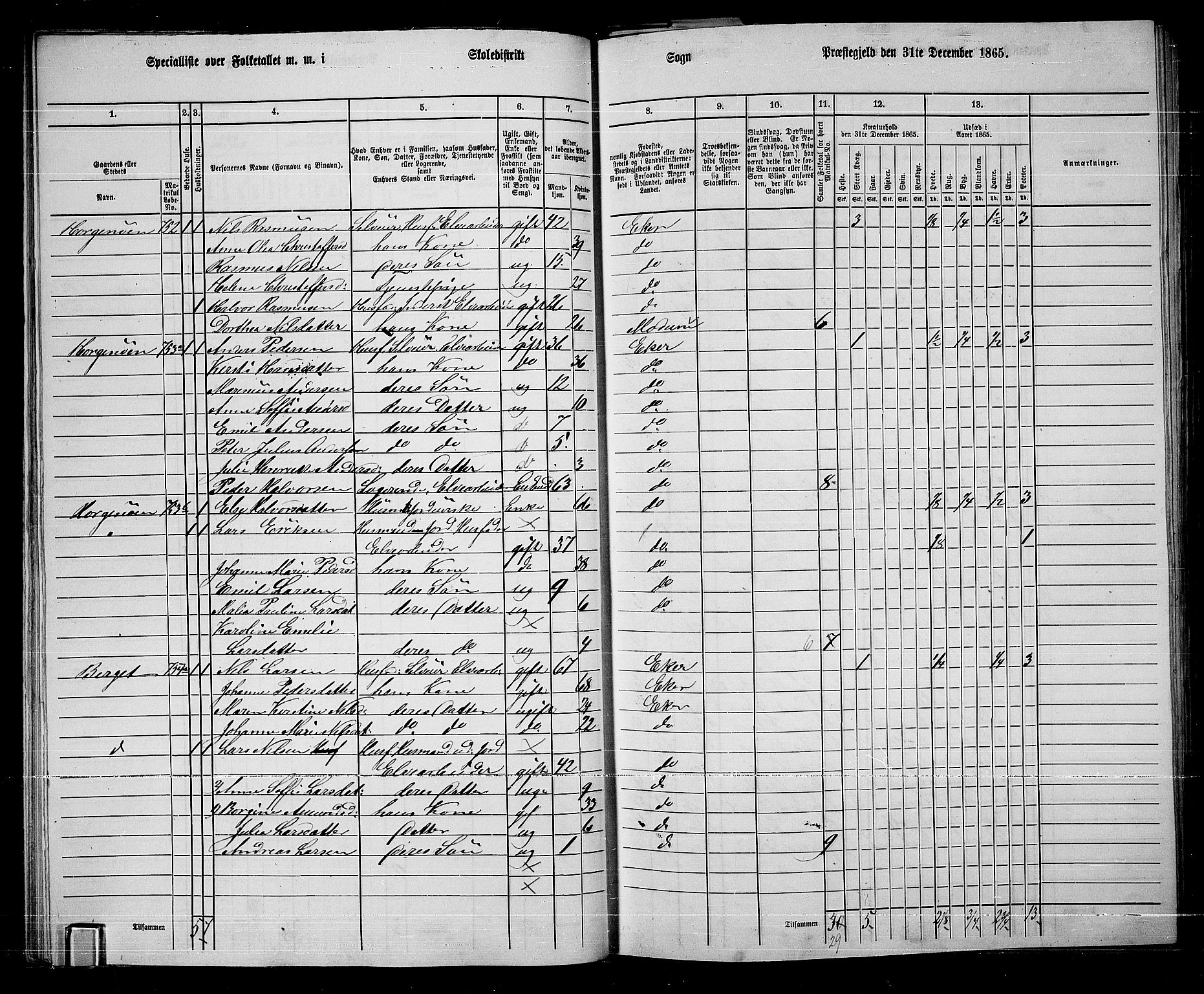 RA, 1865 census for Eiker, 1865, p. 316