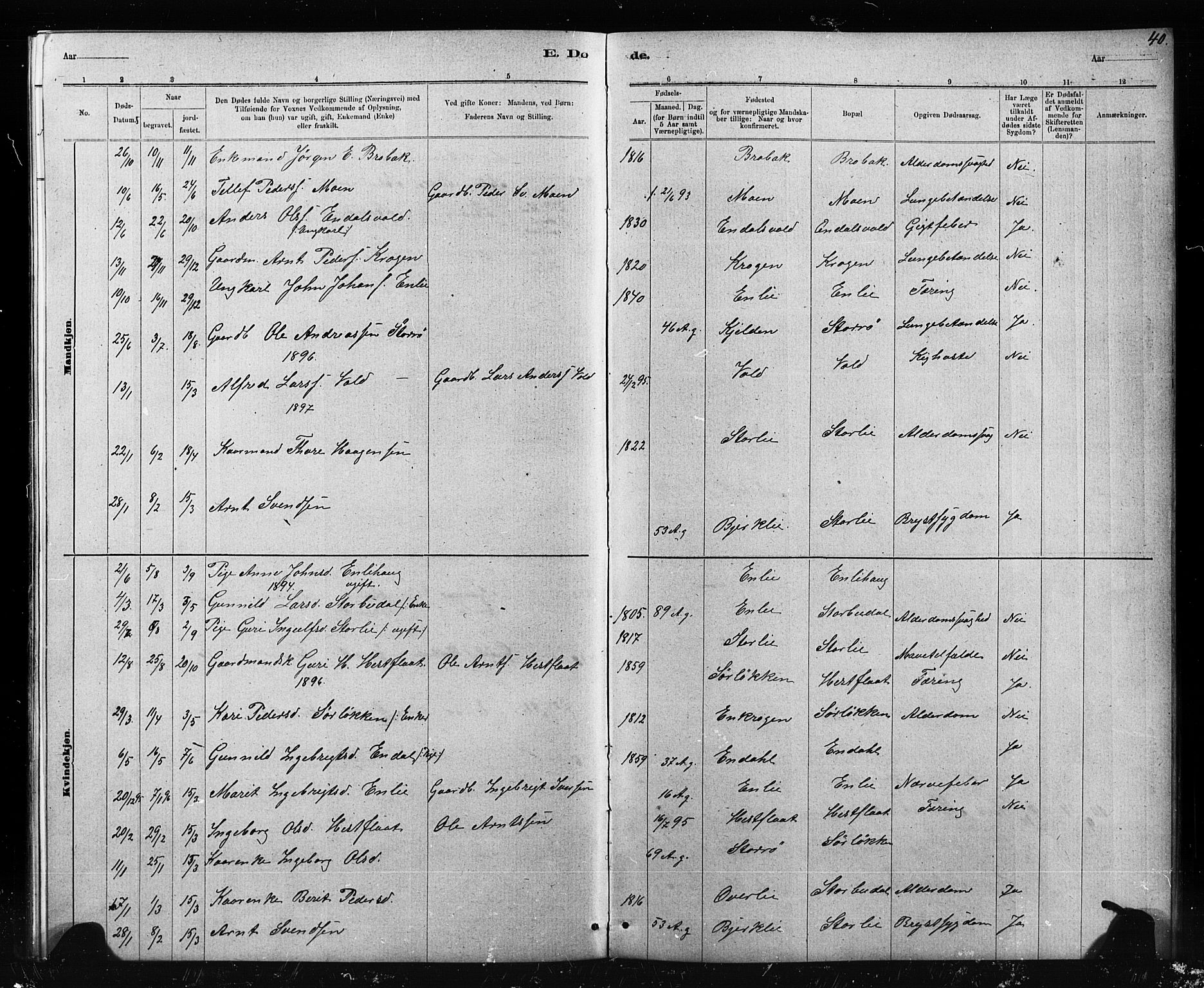 Ministerialprotokoller, klokkerbøker og fødselsregistre - Sør-Trøndelag, SAT/A-1456/690/L1051: Parish register (copy) no. 690C01, 1887-1908, p. 40