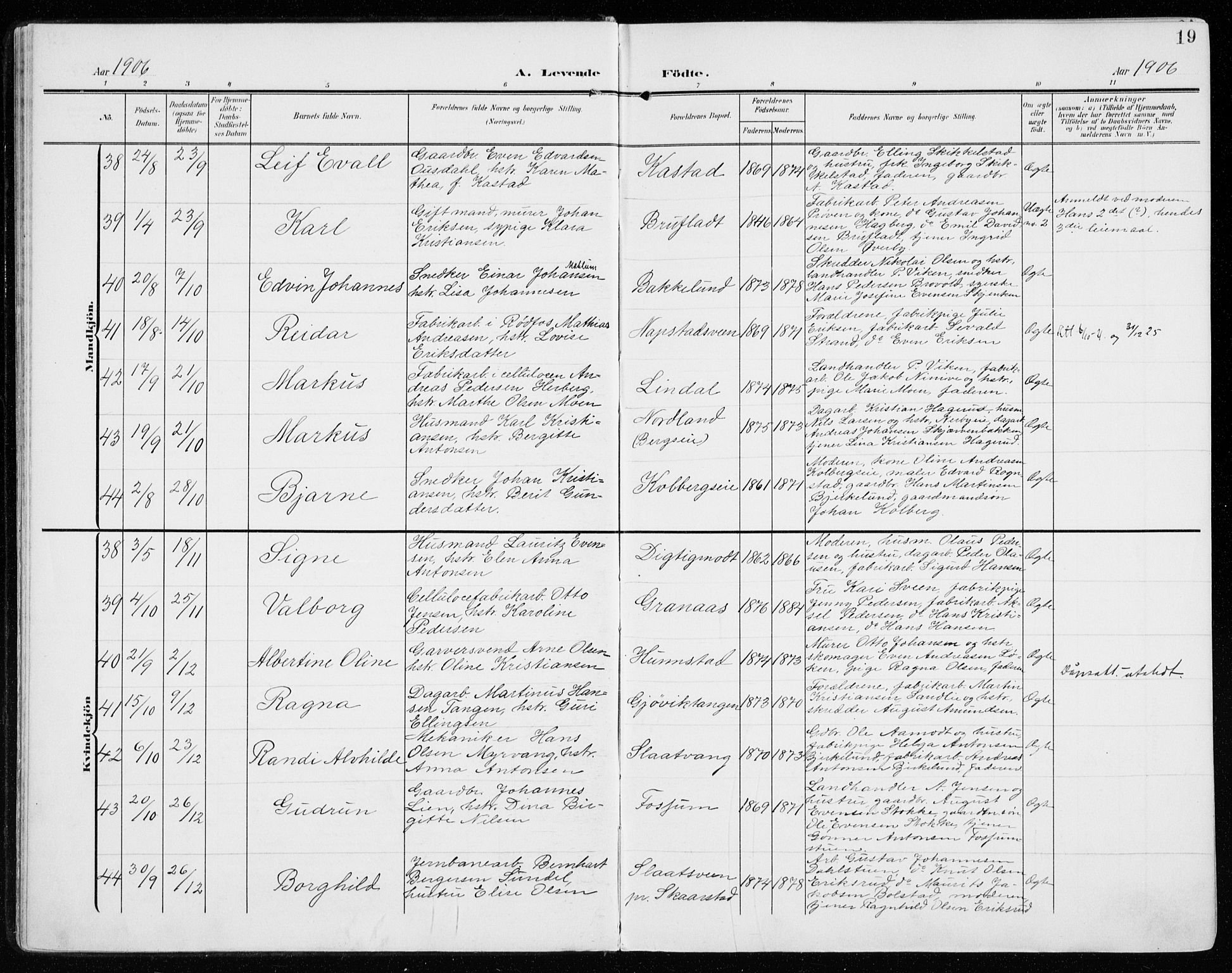 Vardal prestekontor, SAH/PREST-100/H/Ha/Haa/L0016: Parish register (official) no. 16, 1904-1916, p. 19