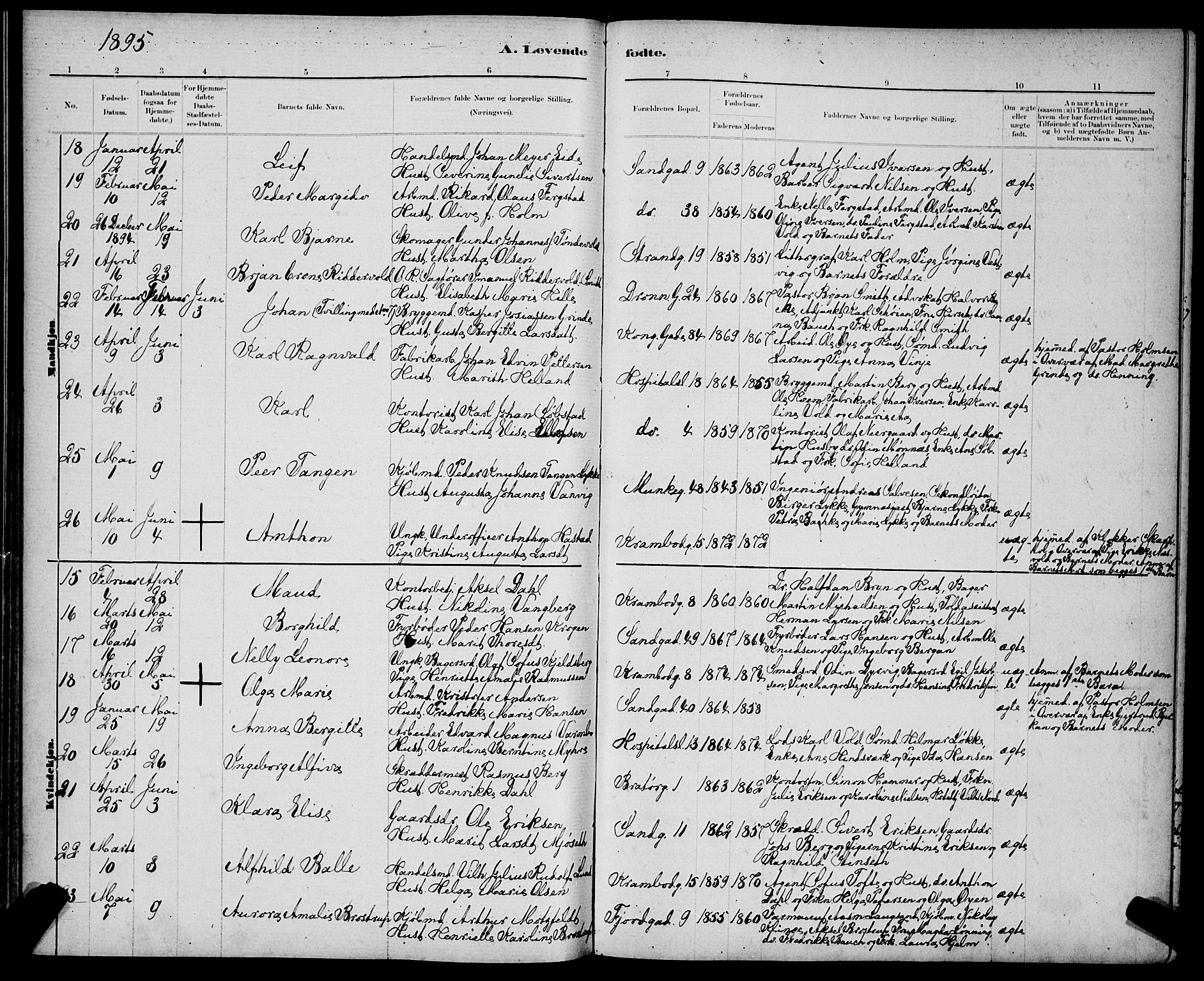 Ministerialprotokoller, klokkerbøker og fødselsregistre - Sør-Trøndelag, AV/SAT-A-1456/602/L0143: Parish register (copy) no. 602C11, 1878-1902