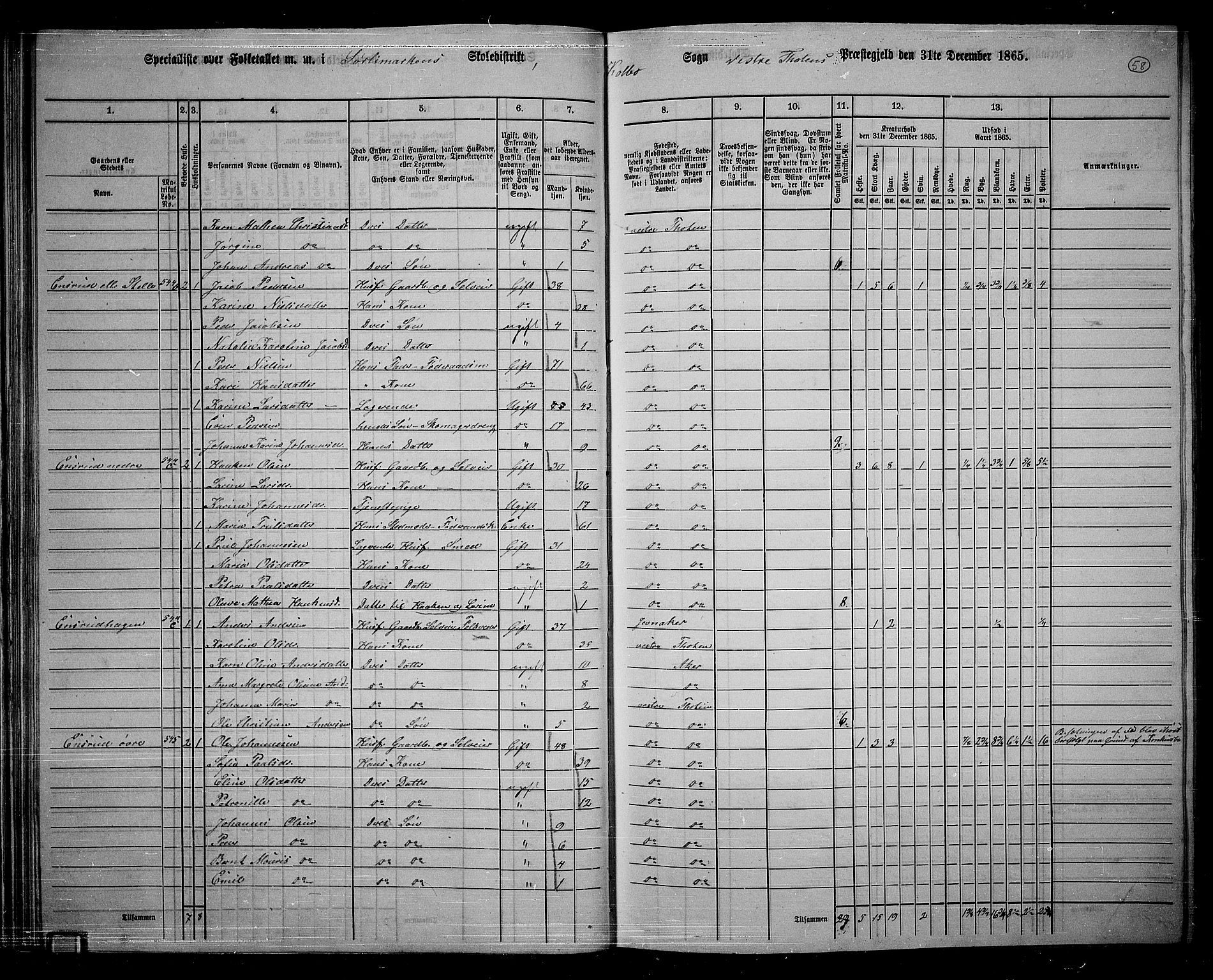 RA, 1865 census for Vestre Toten, 1865, p. 215