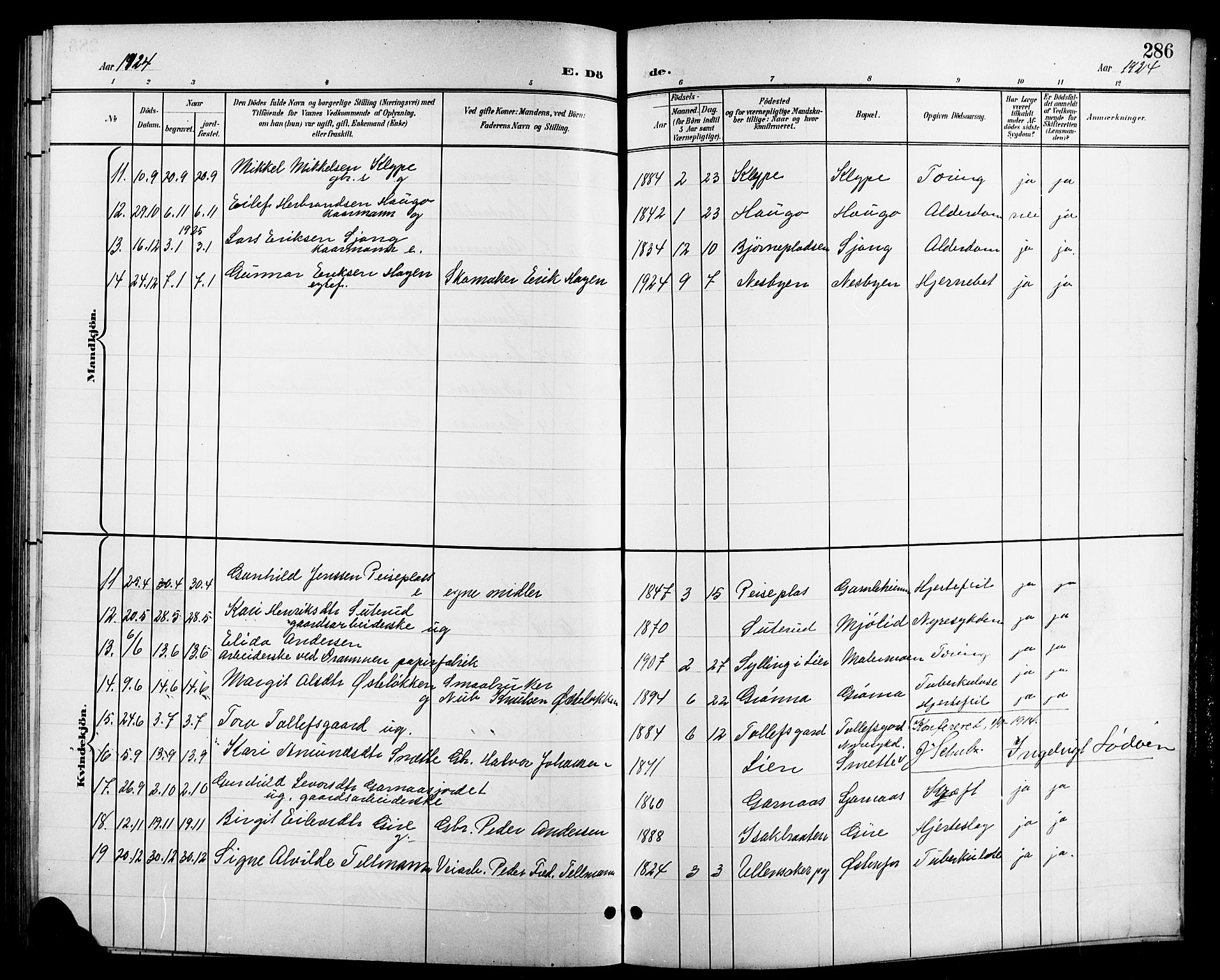 Nes kirkebøker, AV/SAKO-A-236/G/Ga/L0004: Parish register (copy) no. I 4, 1900-1925, p. 286