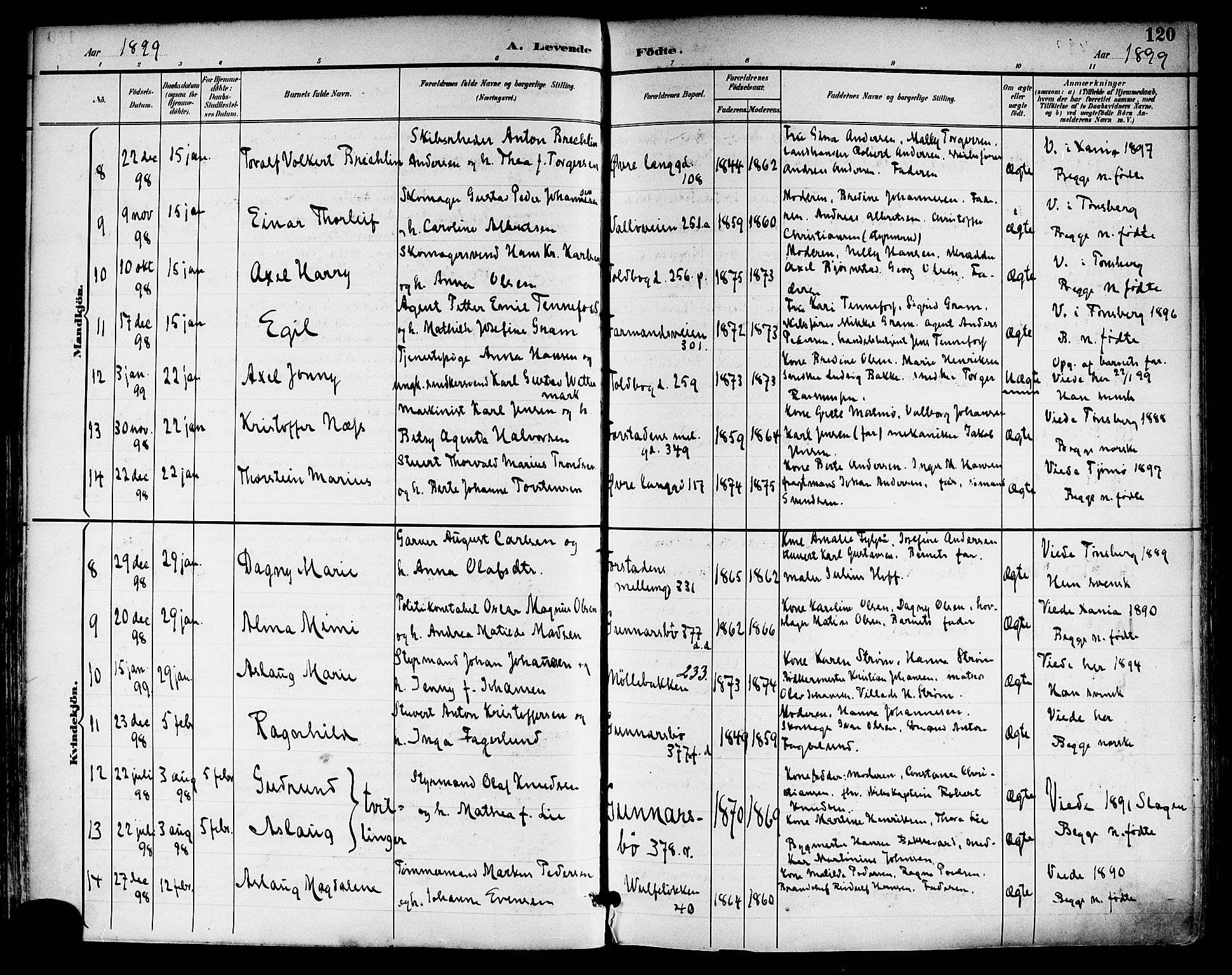 Tønsberg kirkebøker, AV/SAKO-A-330/F/Fa/L0012: Parish register (official) no. I 12, 1891-1899, p. 120