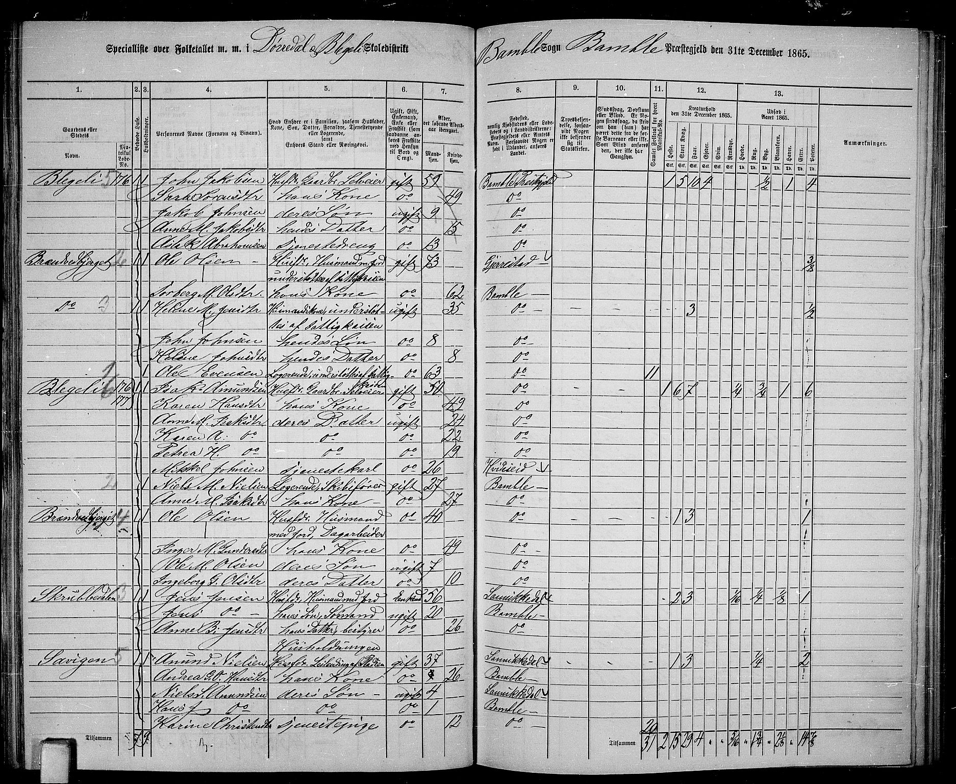 RA, 1865 census for Bamble, 1865, p. 102