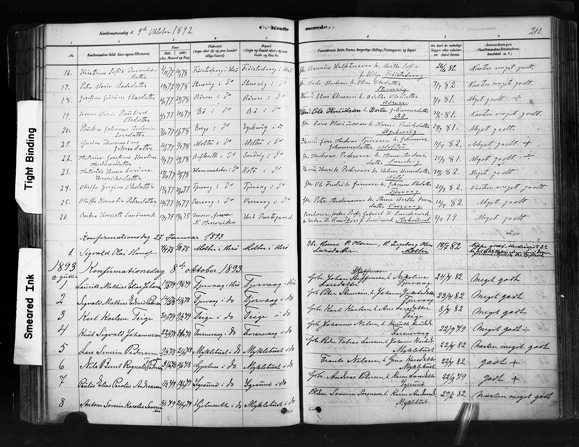 Ministerialprotokoller, klokkerbøker og fødselsregistre - Møre og Romsdal, SAT/A-1454/507/L0073: Parish register (official) no. 507A08, 1878-1904, p. 210