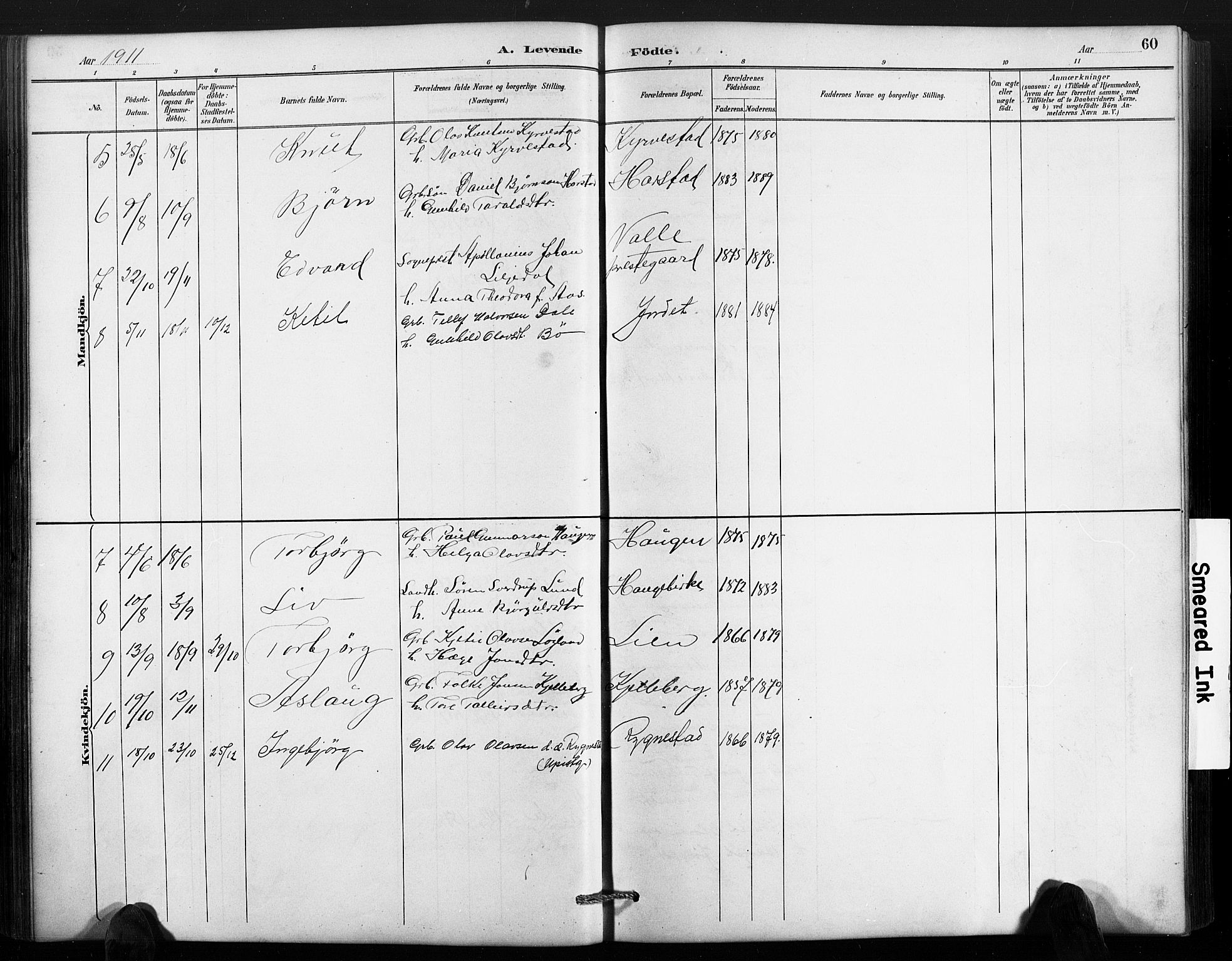 Valle sokneprestkontor, AV/SAK-1111-0044/F/Fb/Fbc/L0004: Parish register (copy) no. B 4, 1890-1928, p. 60