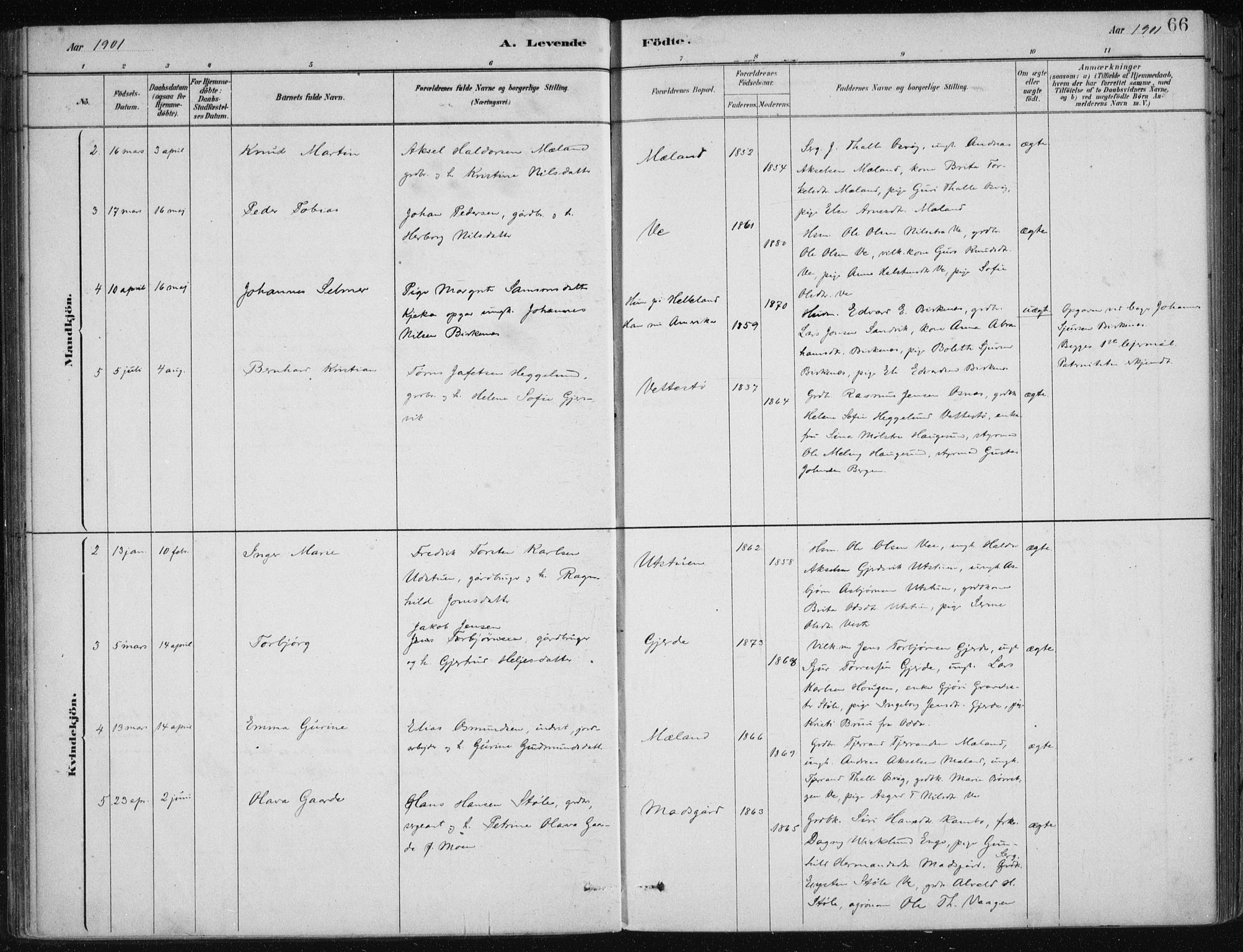 Etne sokneprestembete, AV/SAB-A-75001/H/Haa: Parish register (official) no. C  1, 1879-1919, p. 66